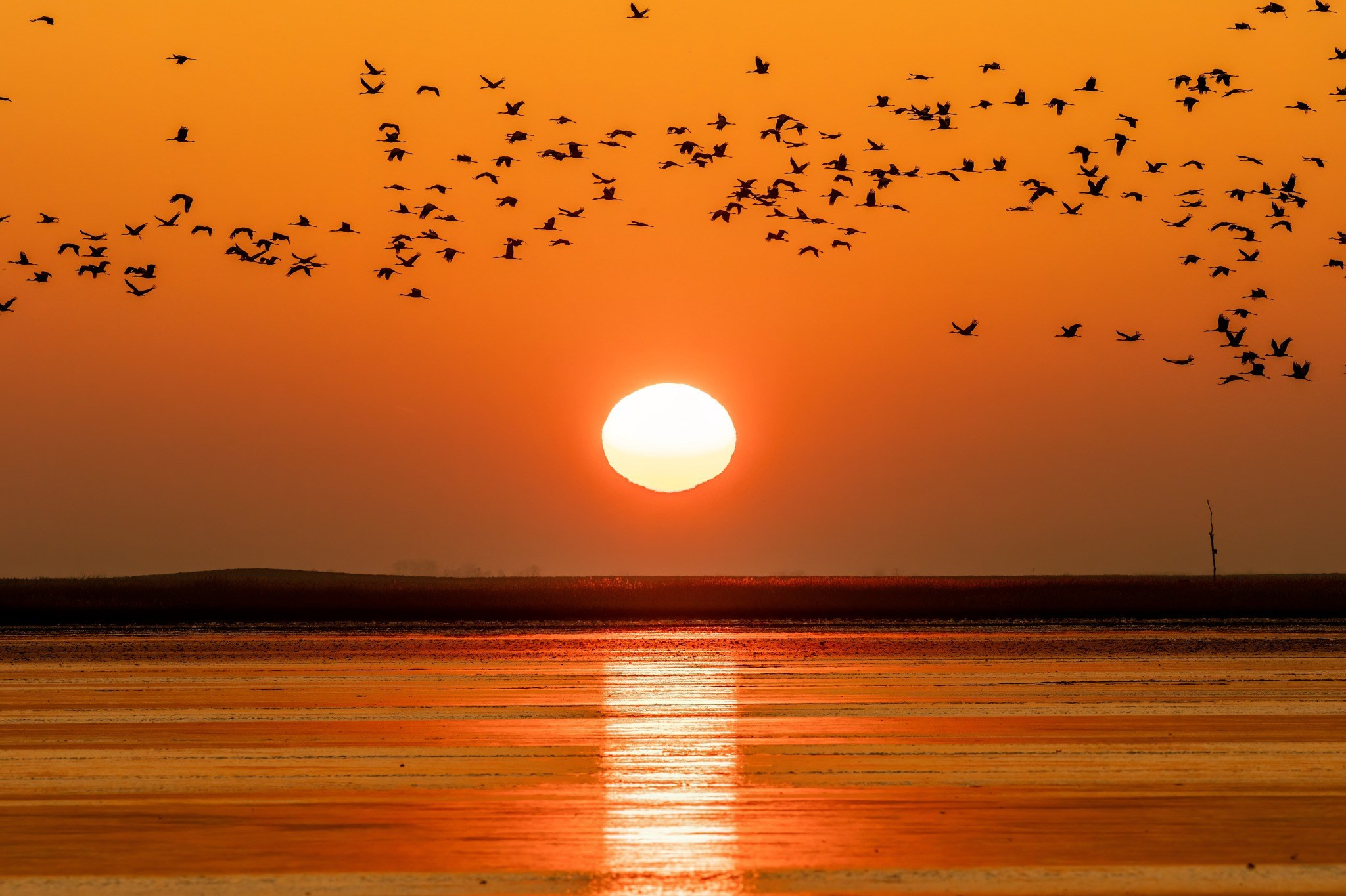 Landscape photography. Wedding photography