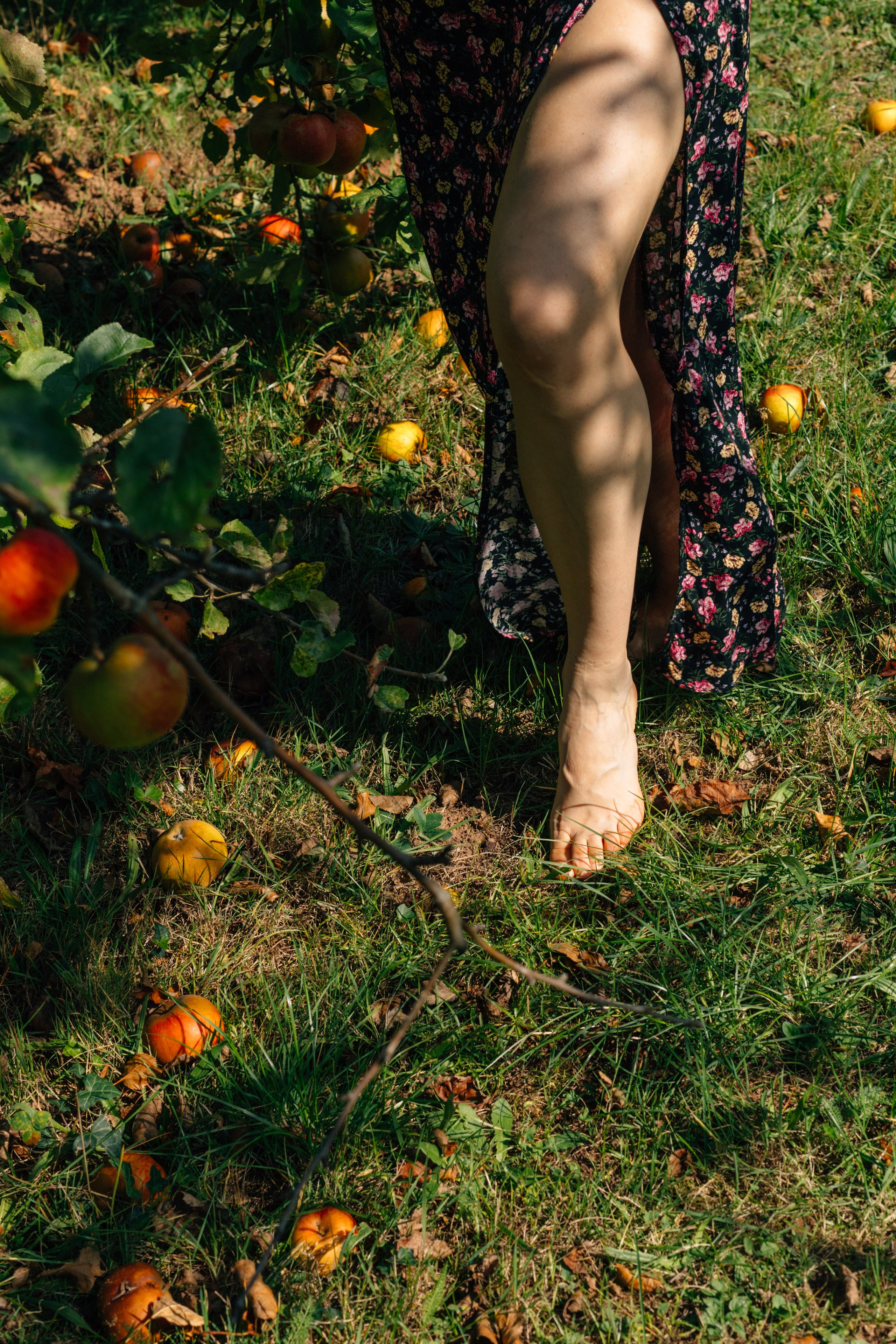 In Garten. PHOTOgrapher Germany MARBURG