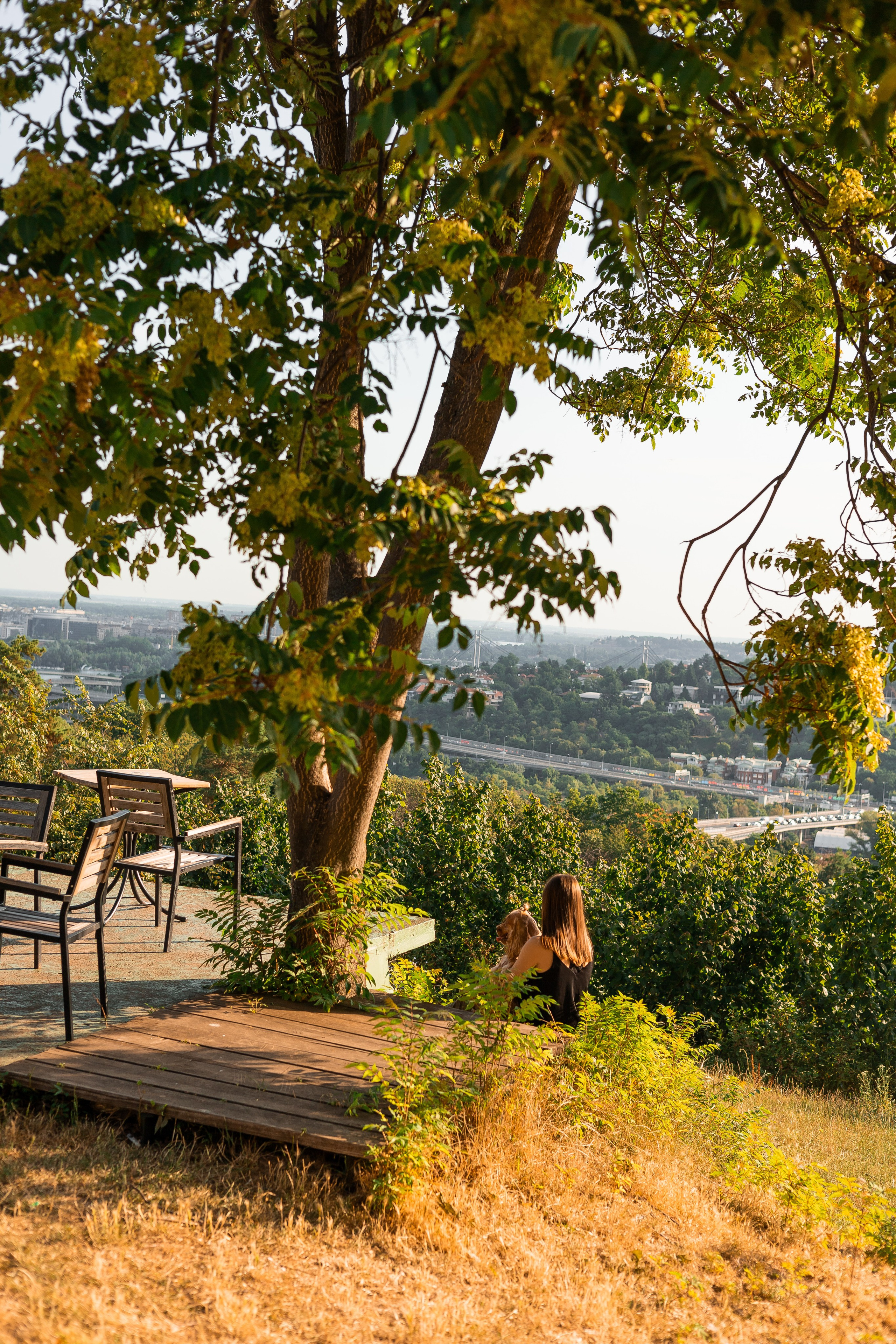 Алина и Юки. Фотограф-анималист | Белград