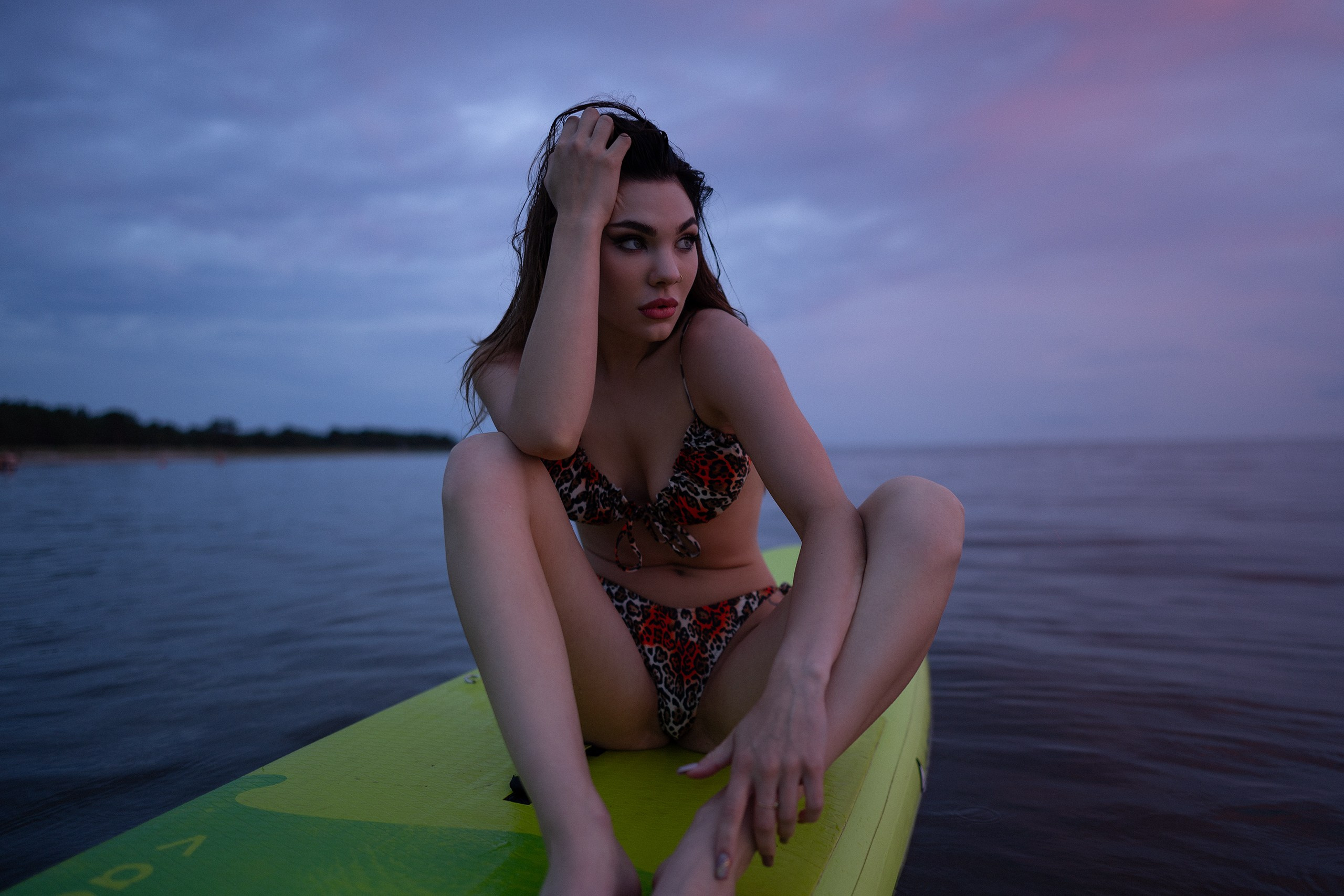 Vanessa