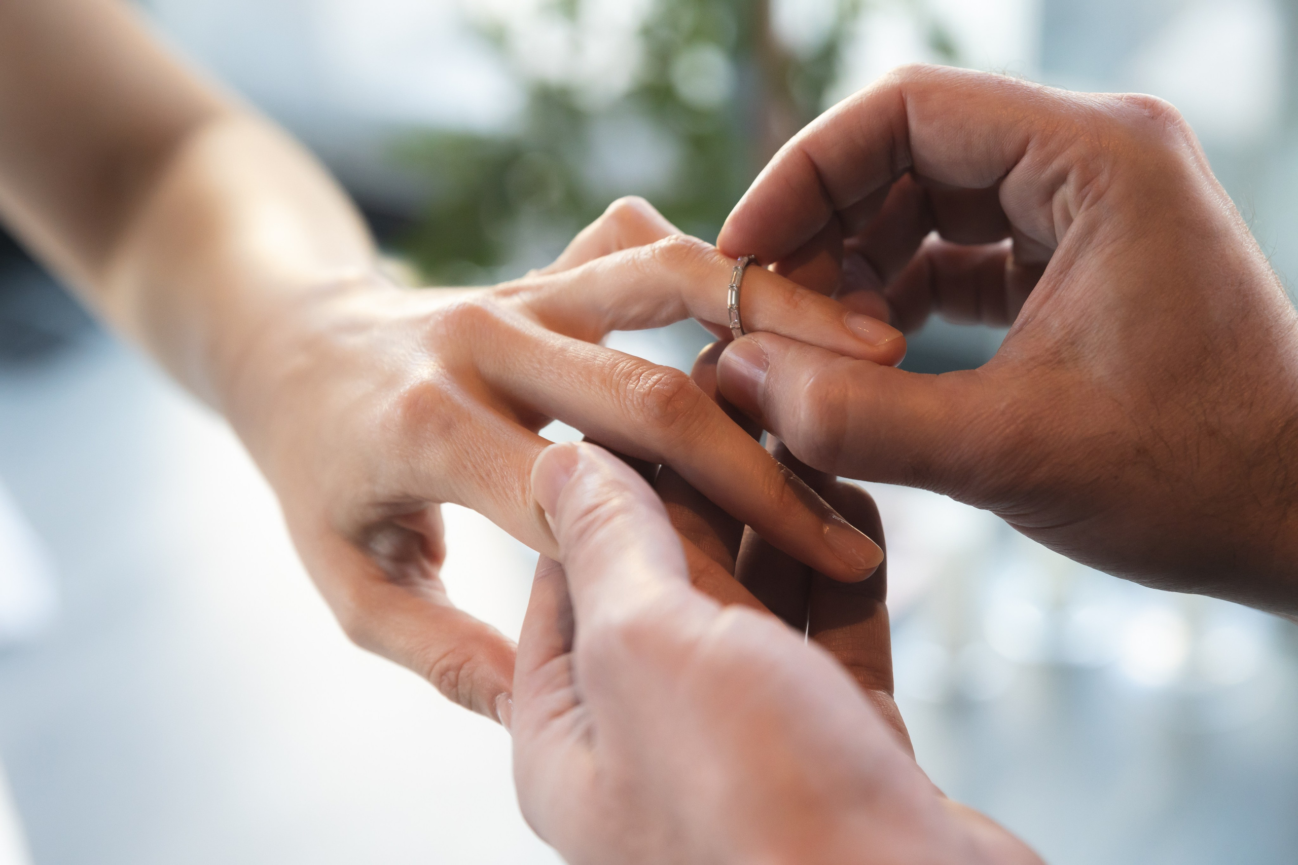 Arleta & Barry, The Skylark, NY. Wedding Photo & Video