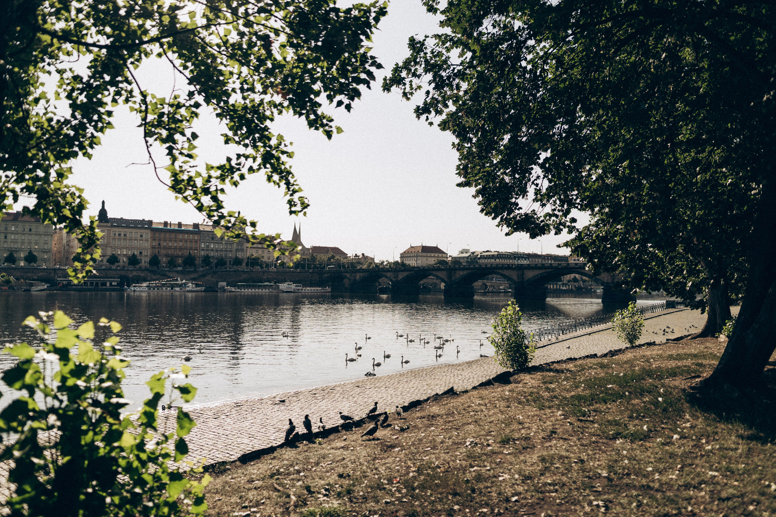 . Фотограф в Праге Анна Лебедева