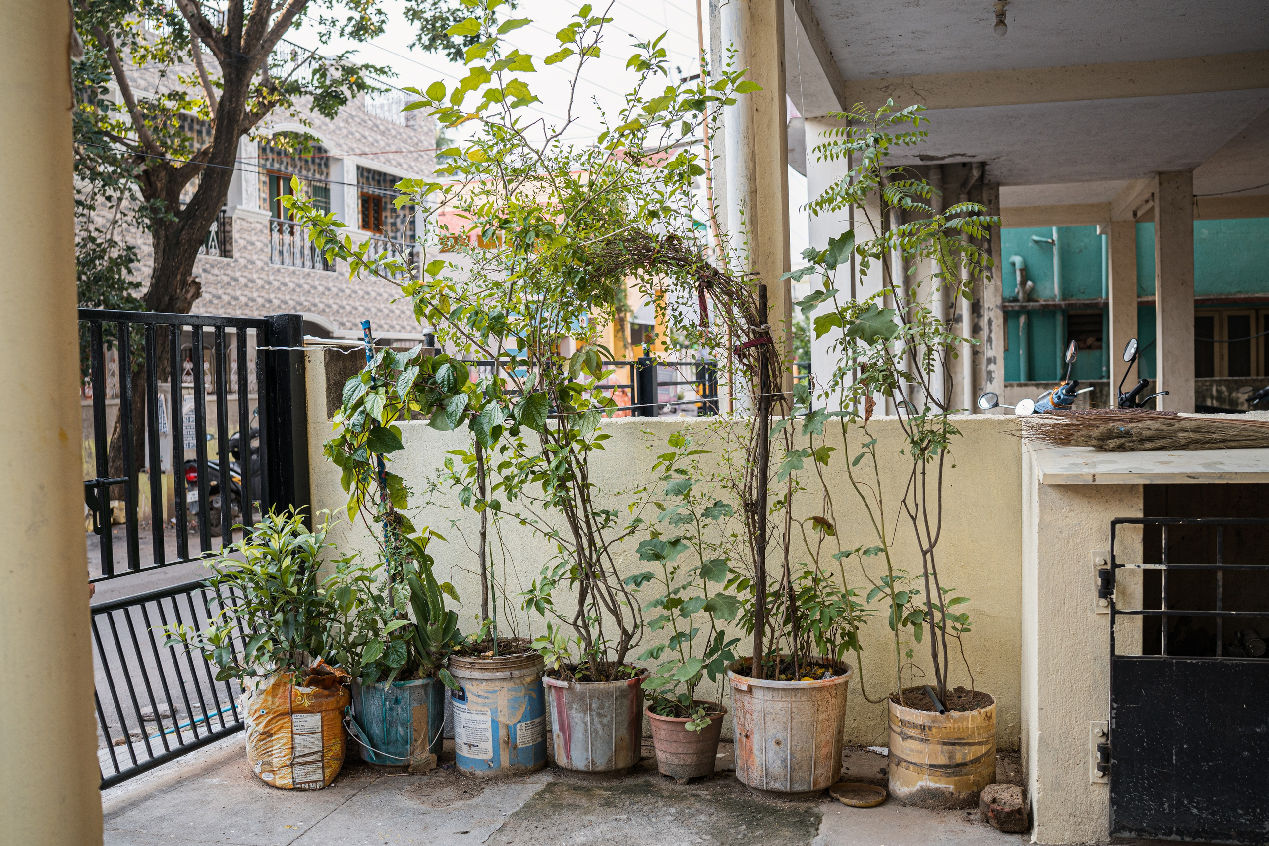 Sathya Nalangu. Agam Vizha