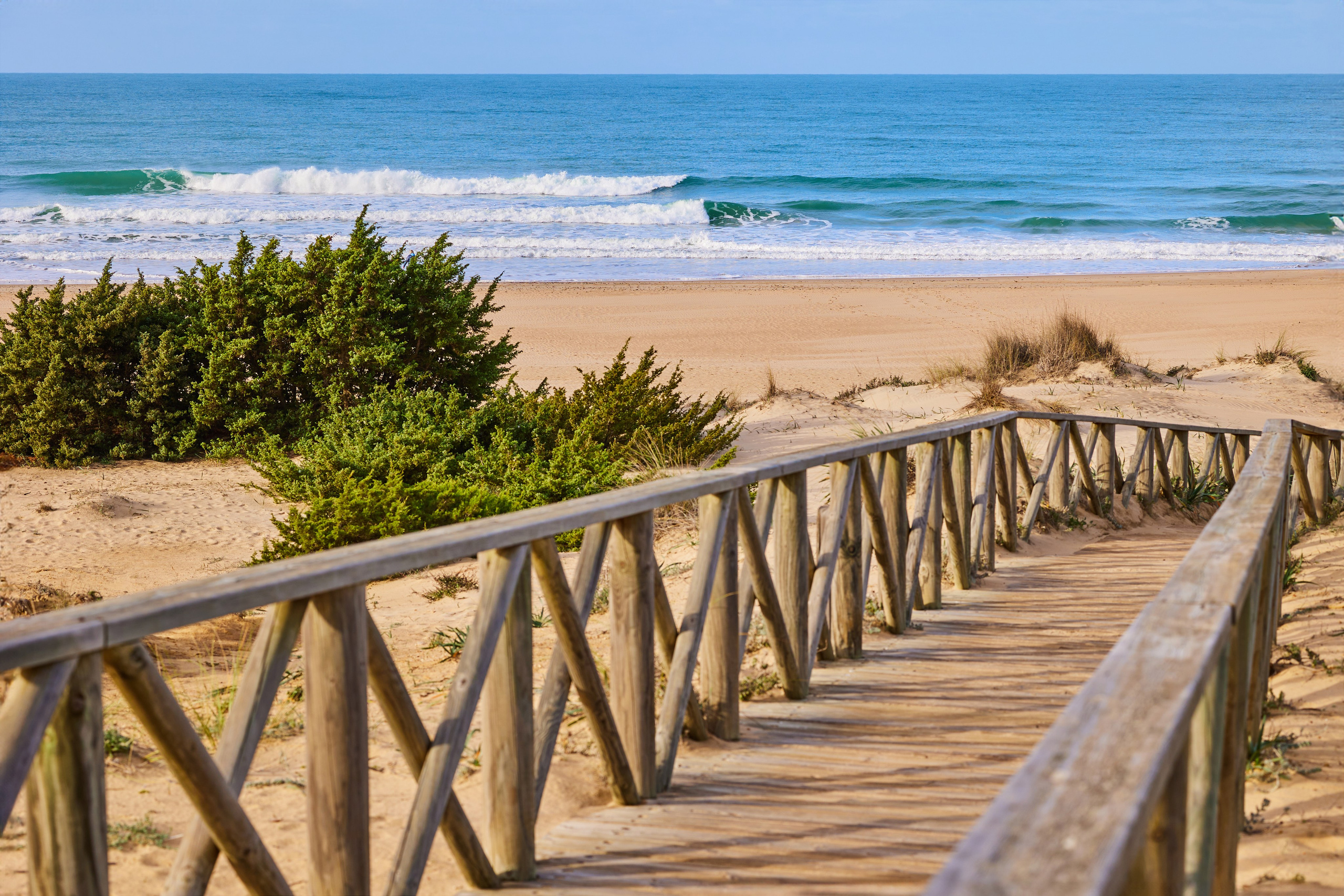 Pasarela de madera entre dunas que conduce a la Playa La Barrosa en la Costa de la Luz, costa atlántica de Andalucía