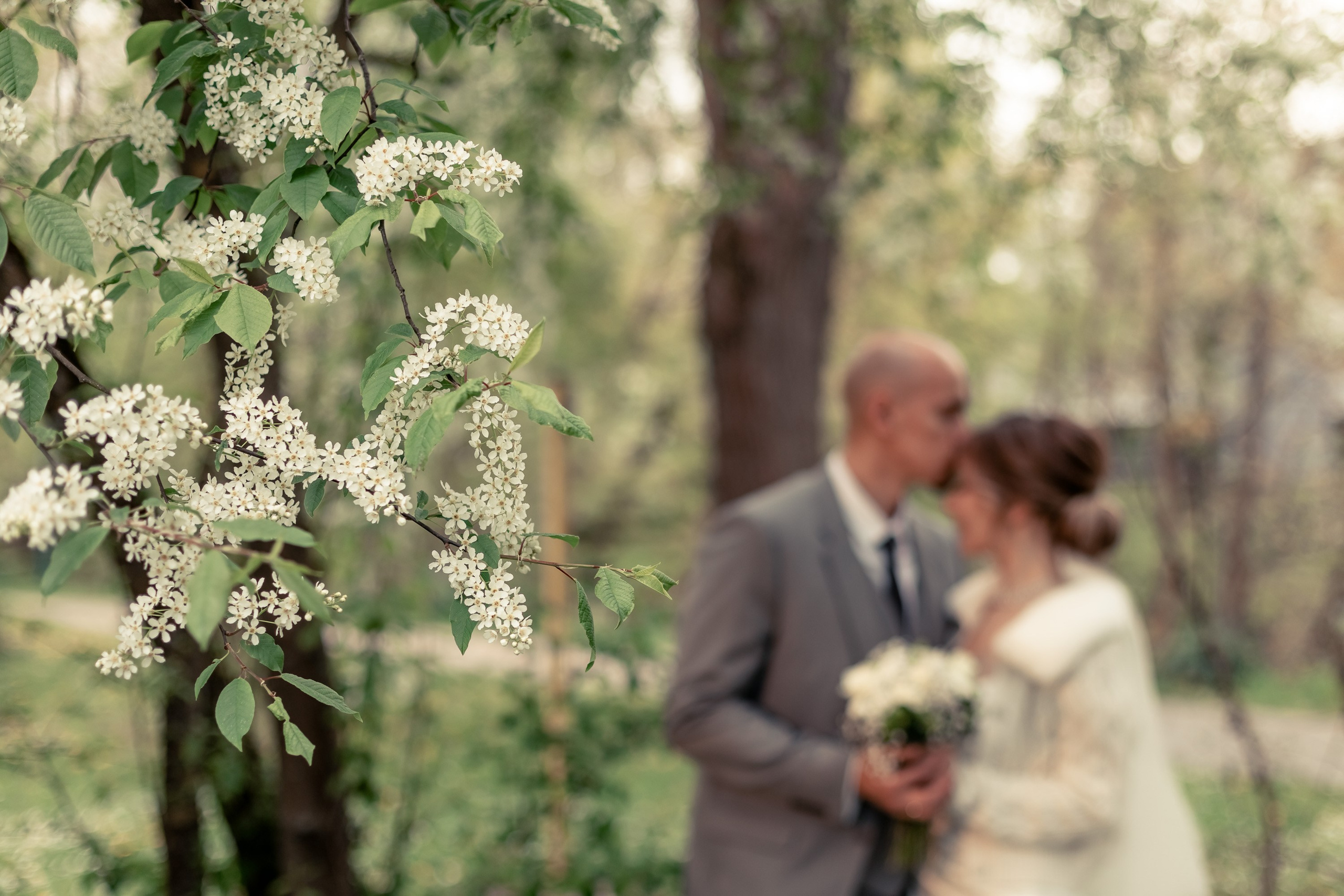 Hochzeit in Walldürn. Fotograf für Hochzeits- und Familienfotos in Buchen (Odenwald) Mosbach