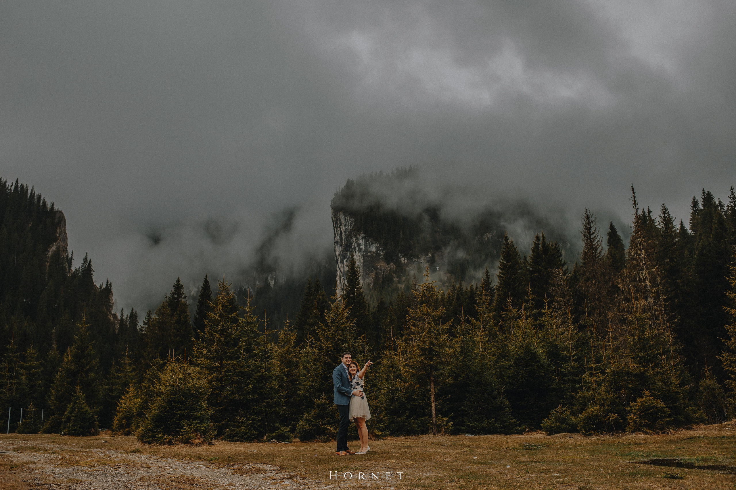 Logodna/Engagement. Hornetart