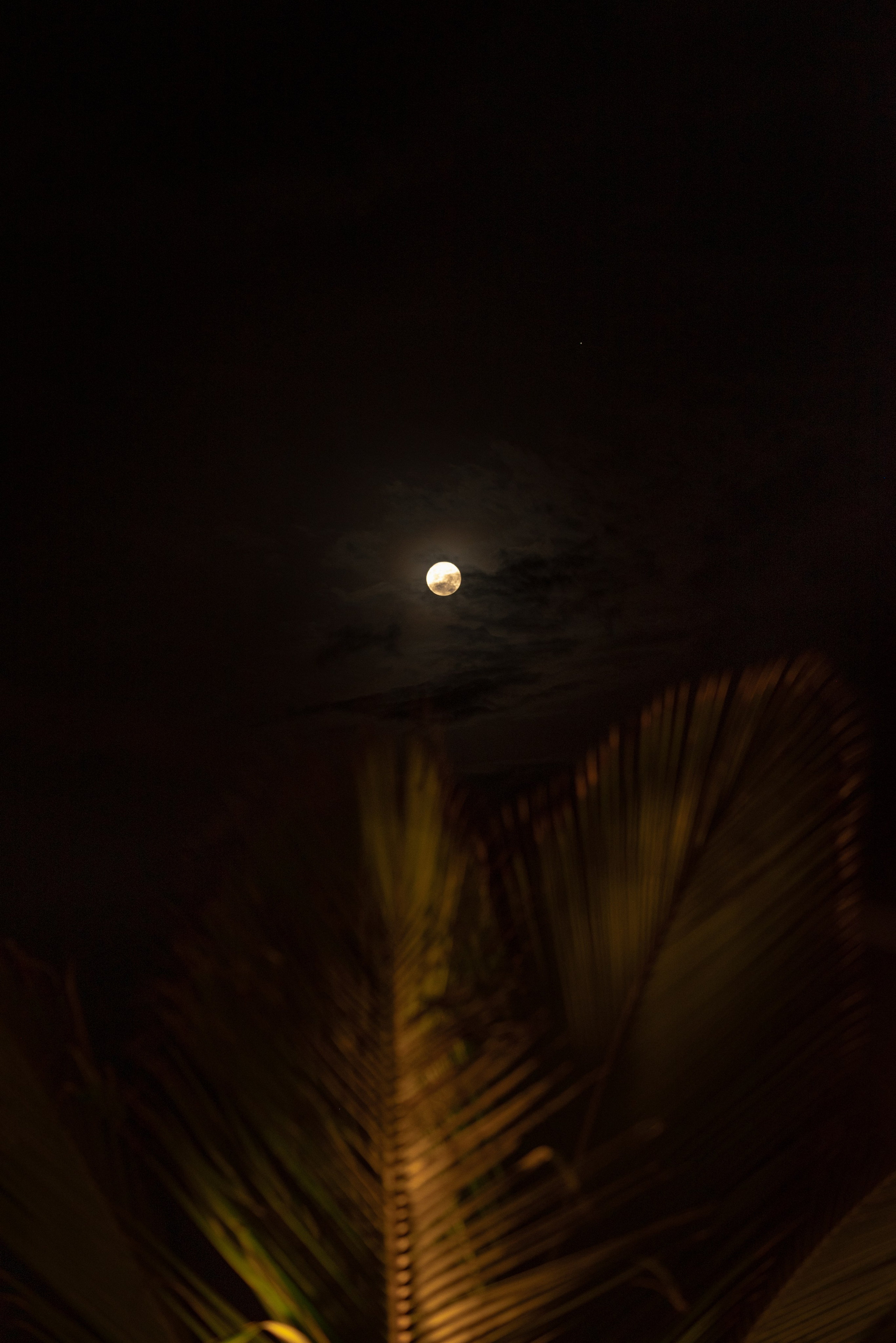 Wedding Karol e Elias. Fotografo de casamentos e famílias no Espirito Santo — Marllus Milanez