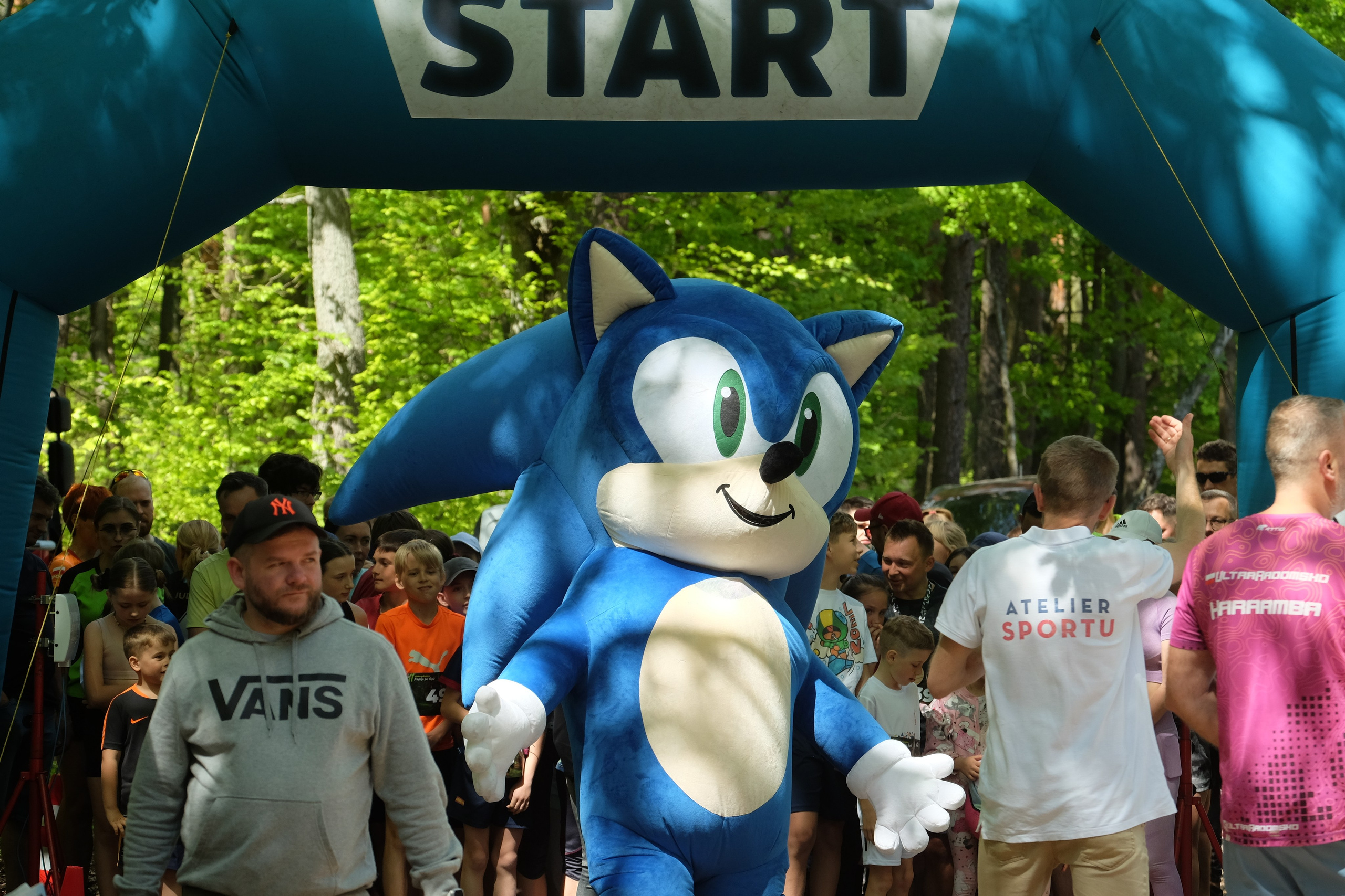 Aleksandryjska Piątka po lesie. Main