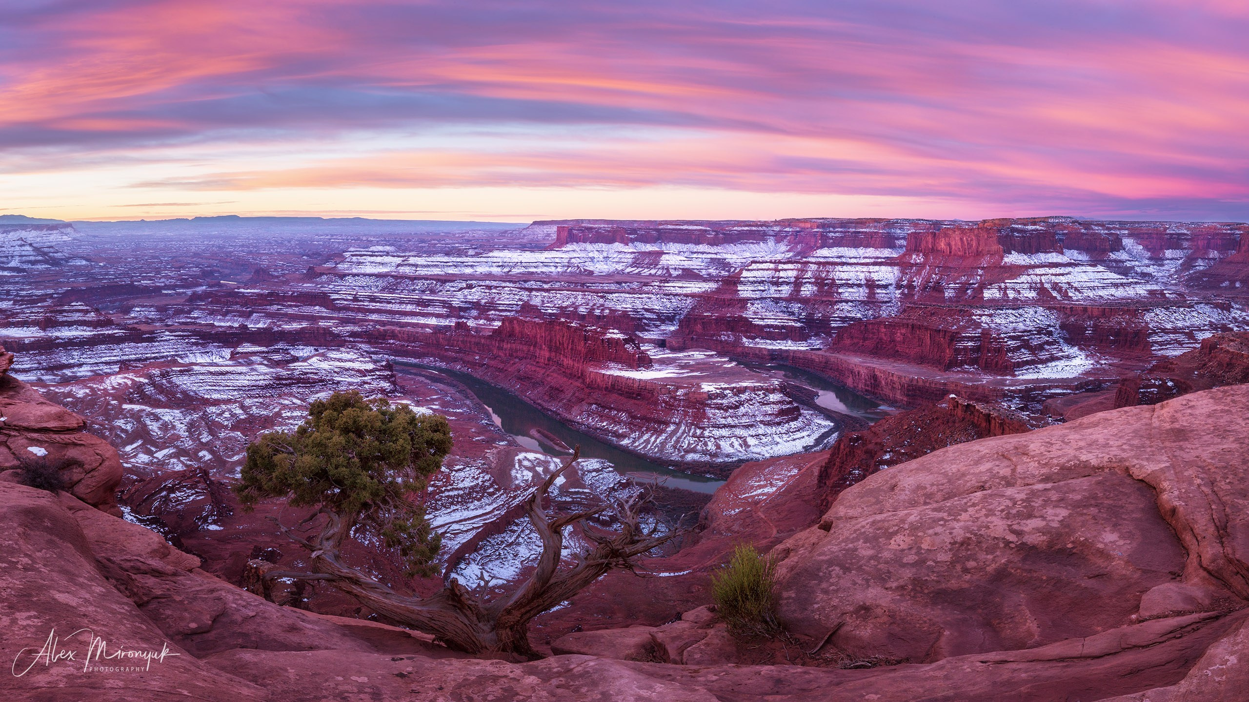 New Year In Utah. Pet, Senior, Landscape, portrait studio, photographer in Miami and Sou