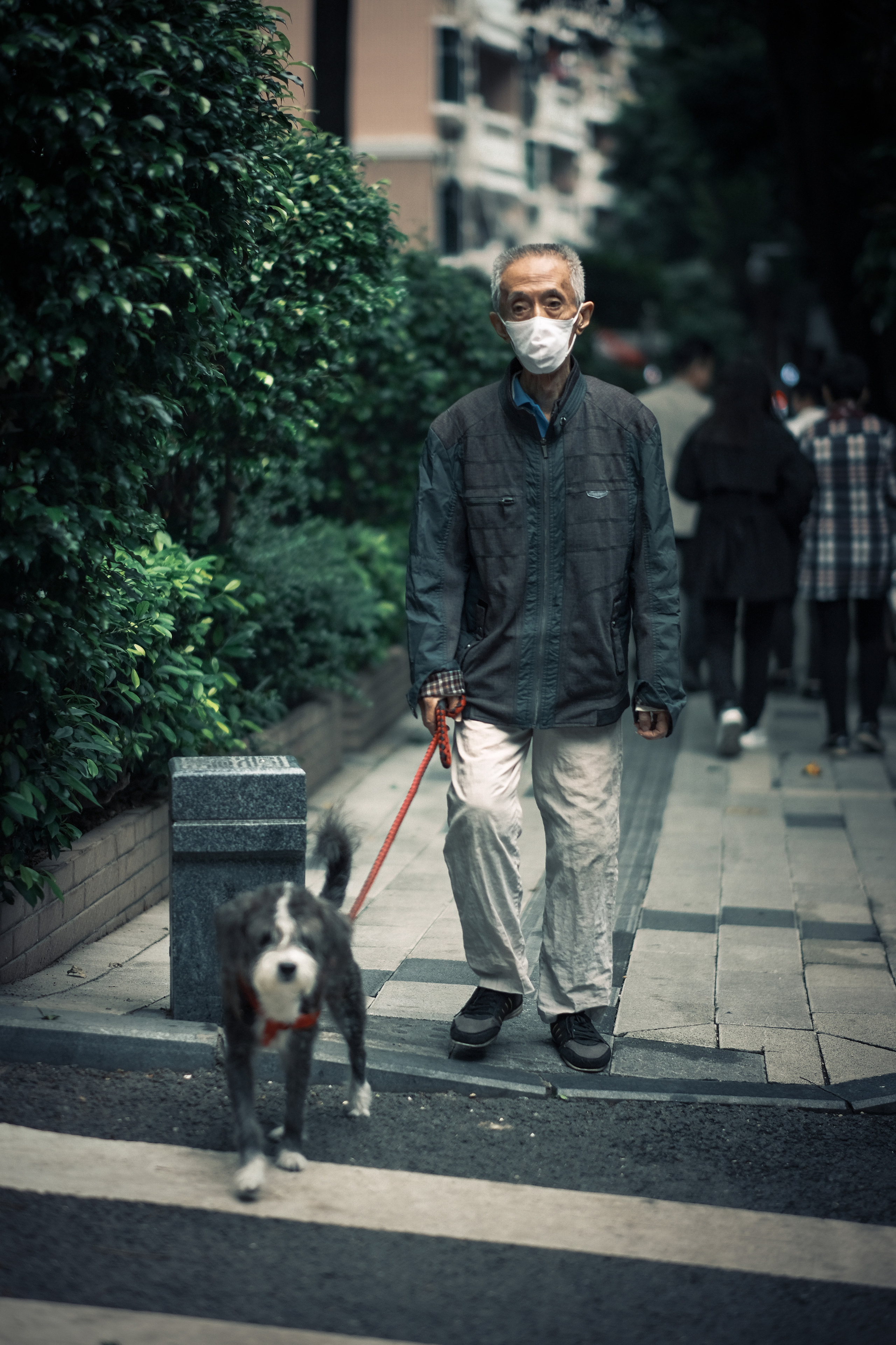 Man and Dog | Street Photography China | Street photography in Shenzhen 深圳 | China | Camera: FUJIFILM X-Pro3 56mm F1.2 | Date: 23 October 2021