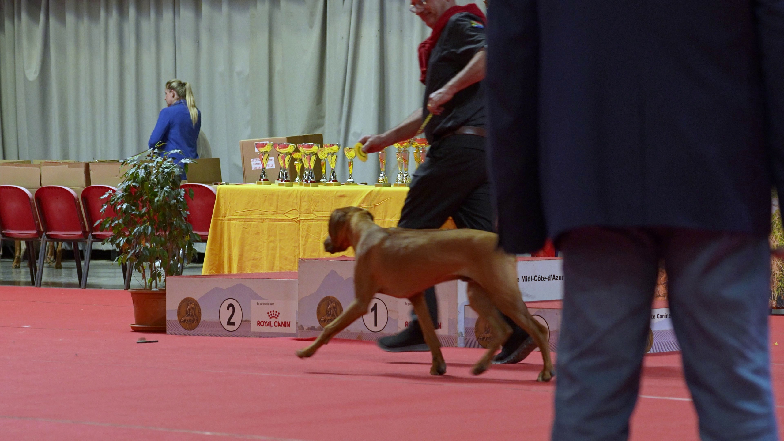 Expo canine 🇫🇷 Martigues 18-19/04/2026