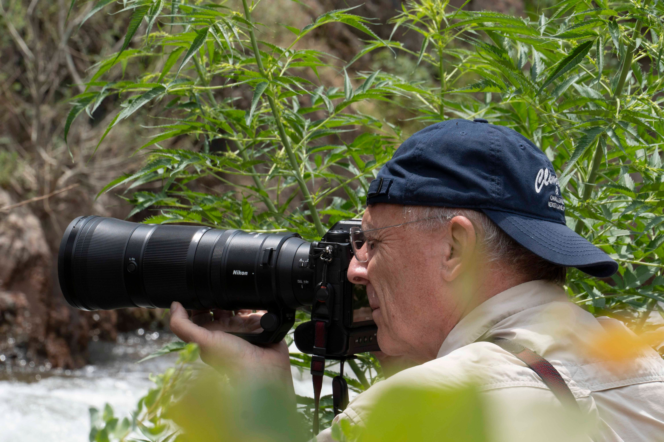 Wildlife Photography Programme (British Council x MOC). Melikov Amir, Uzbekistan based photographer
