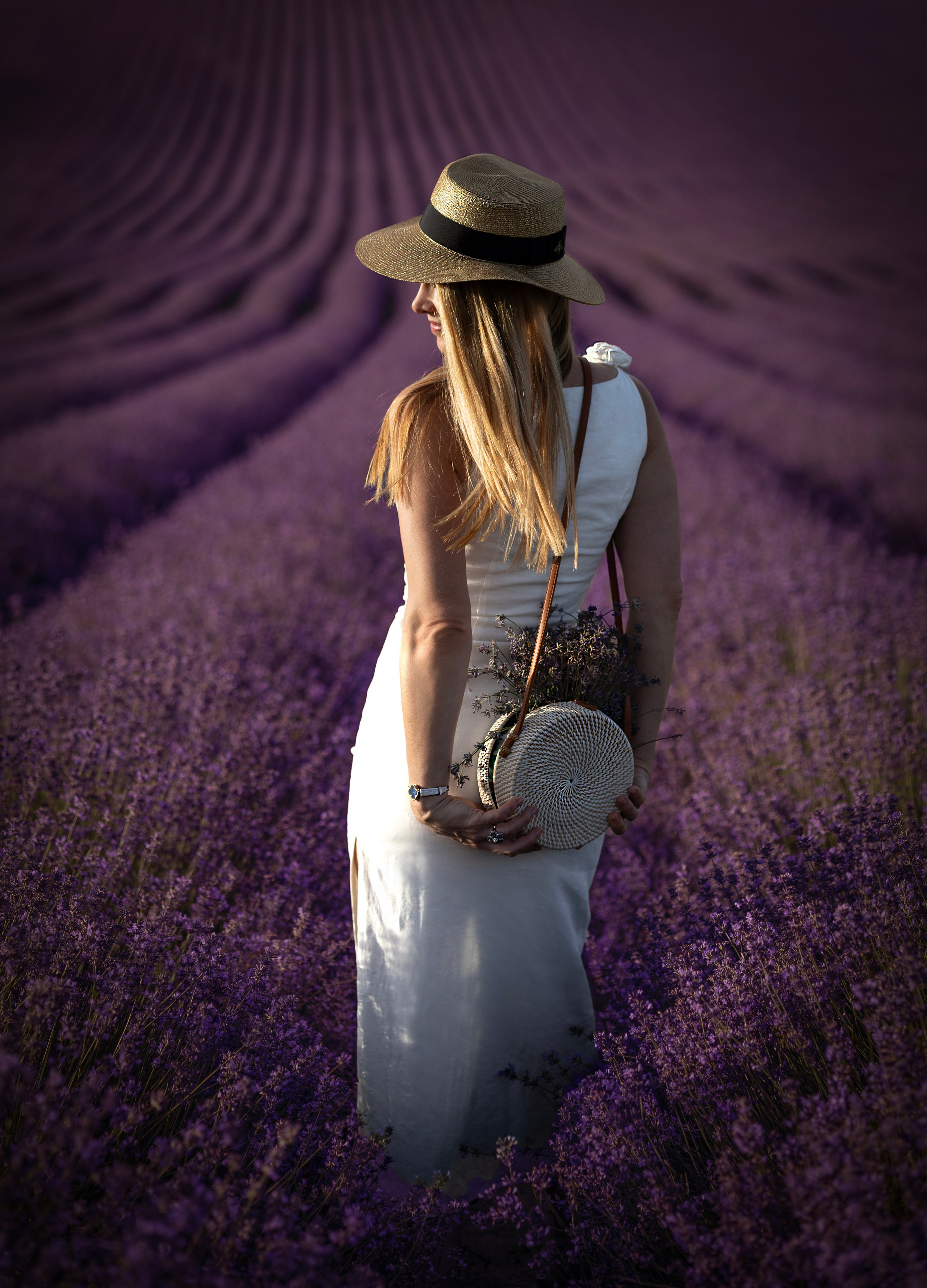Lavendel. Photographer in Munich