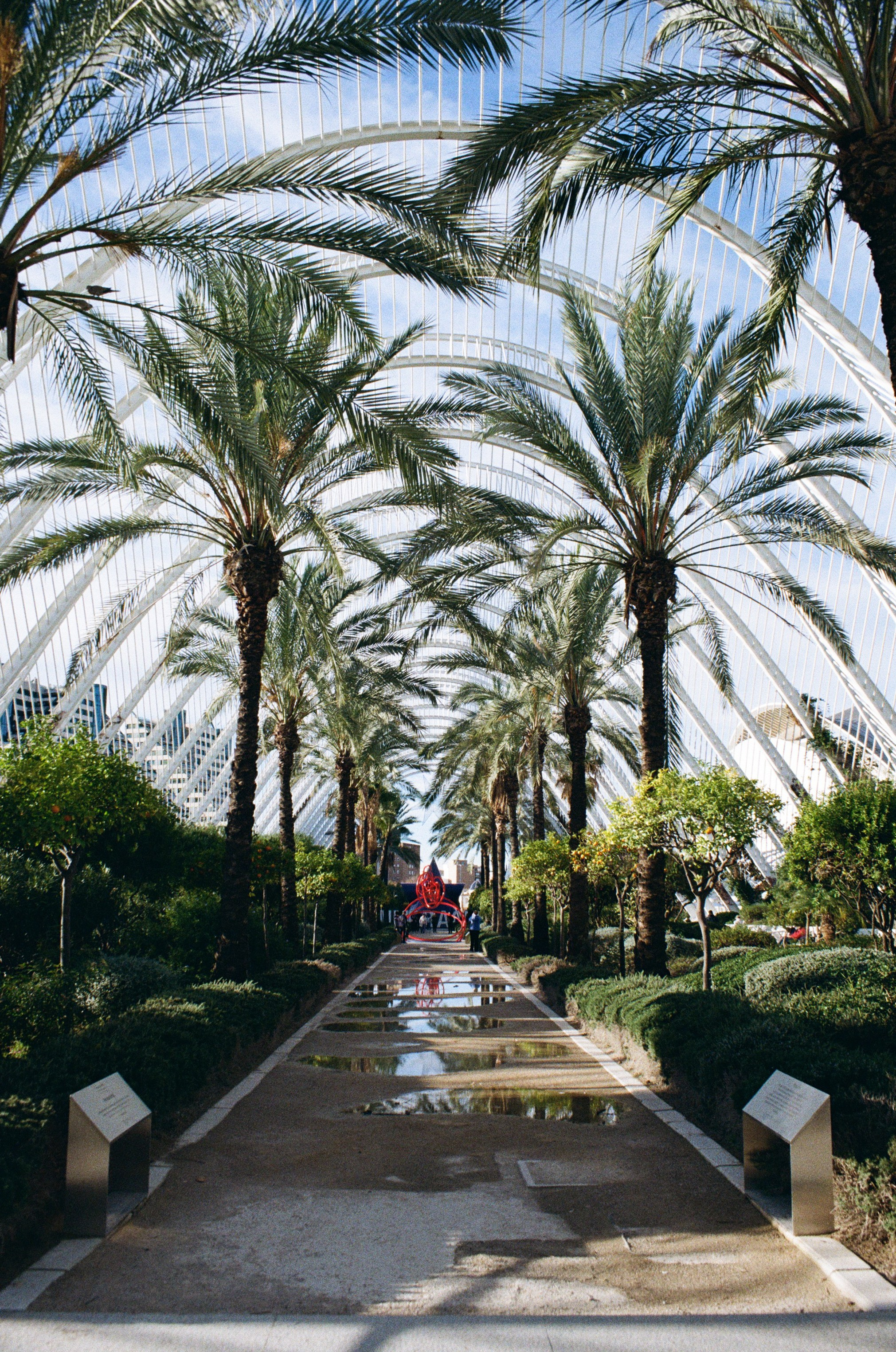 Valencia — Ein fotografischer Spaziergang durch Licht und Weite. Hochzeitsgeschichten – Professionelle Hochzeitsfotografie & Videografie in Deutschland, Italien, Spanien und ganz Europa