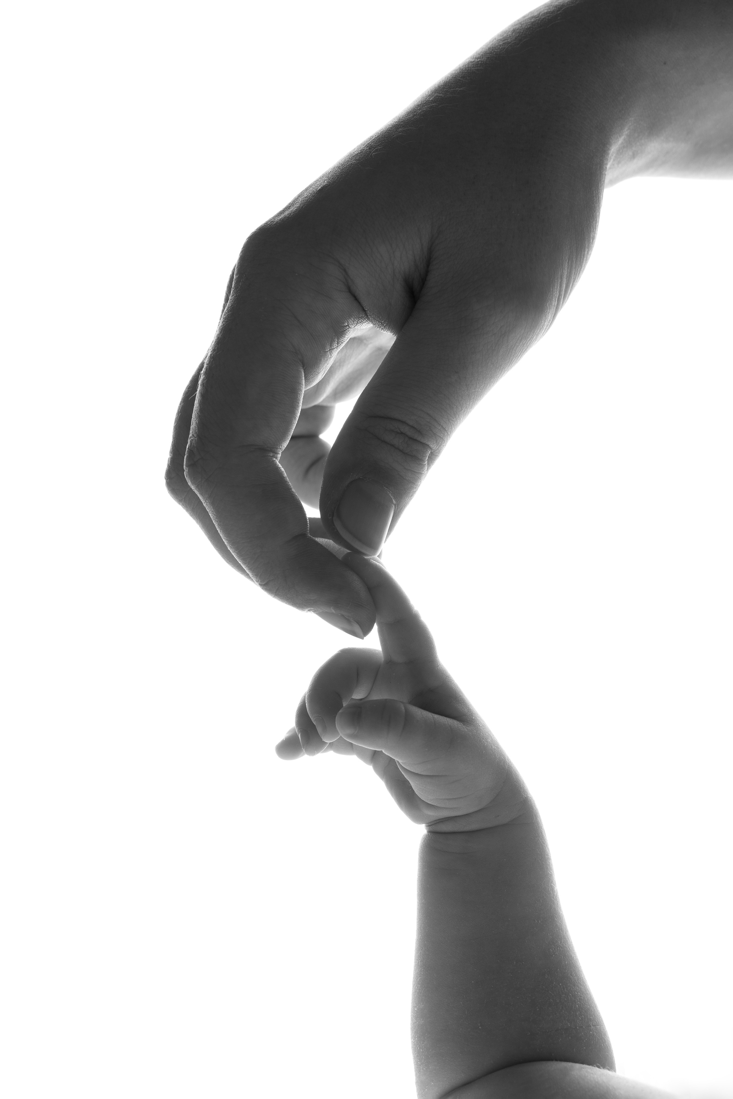 Newborn. Maria Langlitz Photography