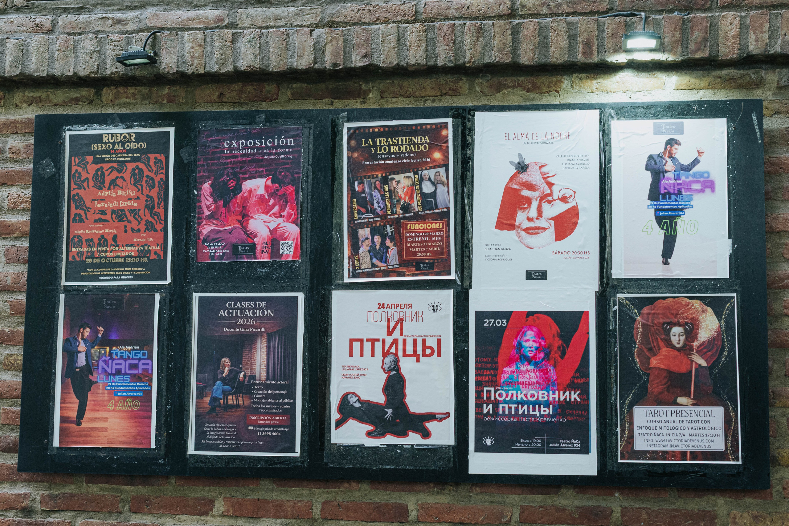 Анонс. Полковник и птицы. Фотограф @elmirkami в городе Буэнос-Айрес