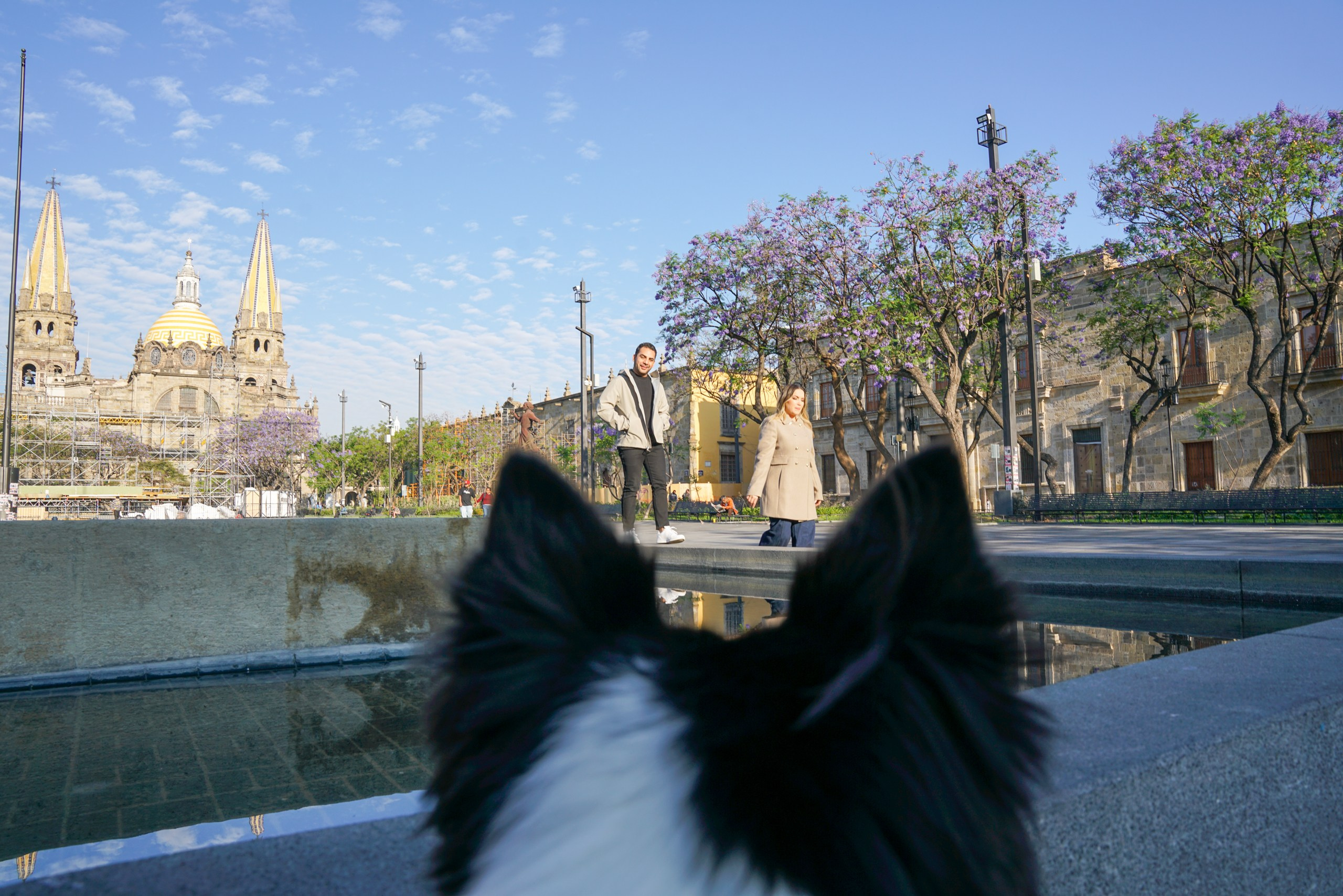 Casual * Nicte & Poncho| Guadalajara. Elopement & Lifestyle Wedding Photographer