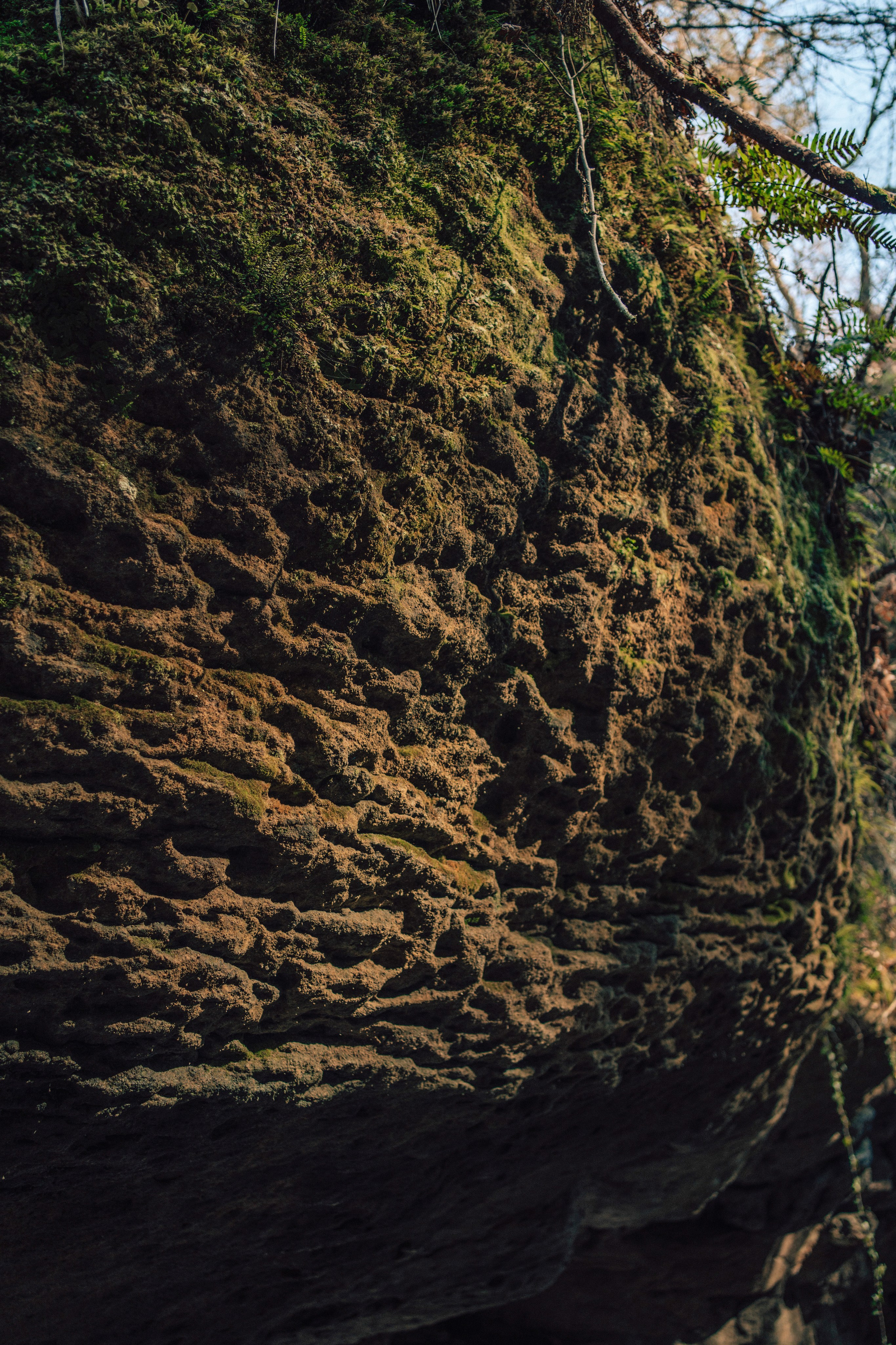 Müllerthal. Elena Seewald