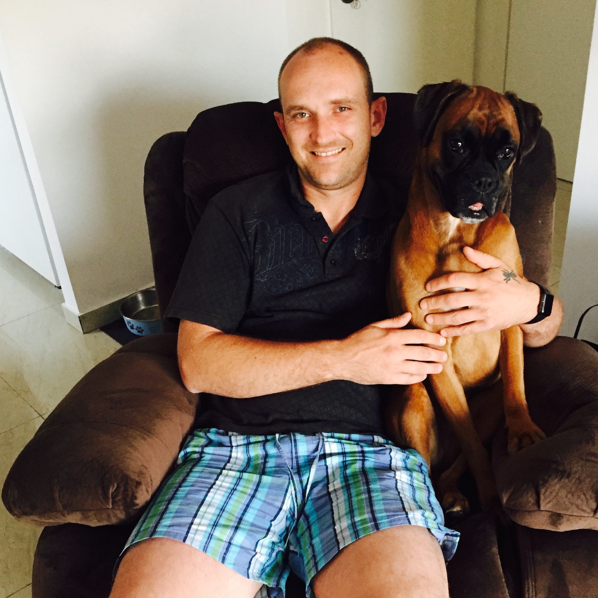 My Star - My Boxer Dog