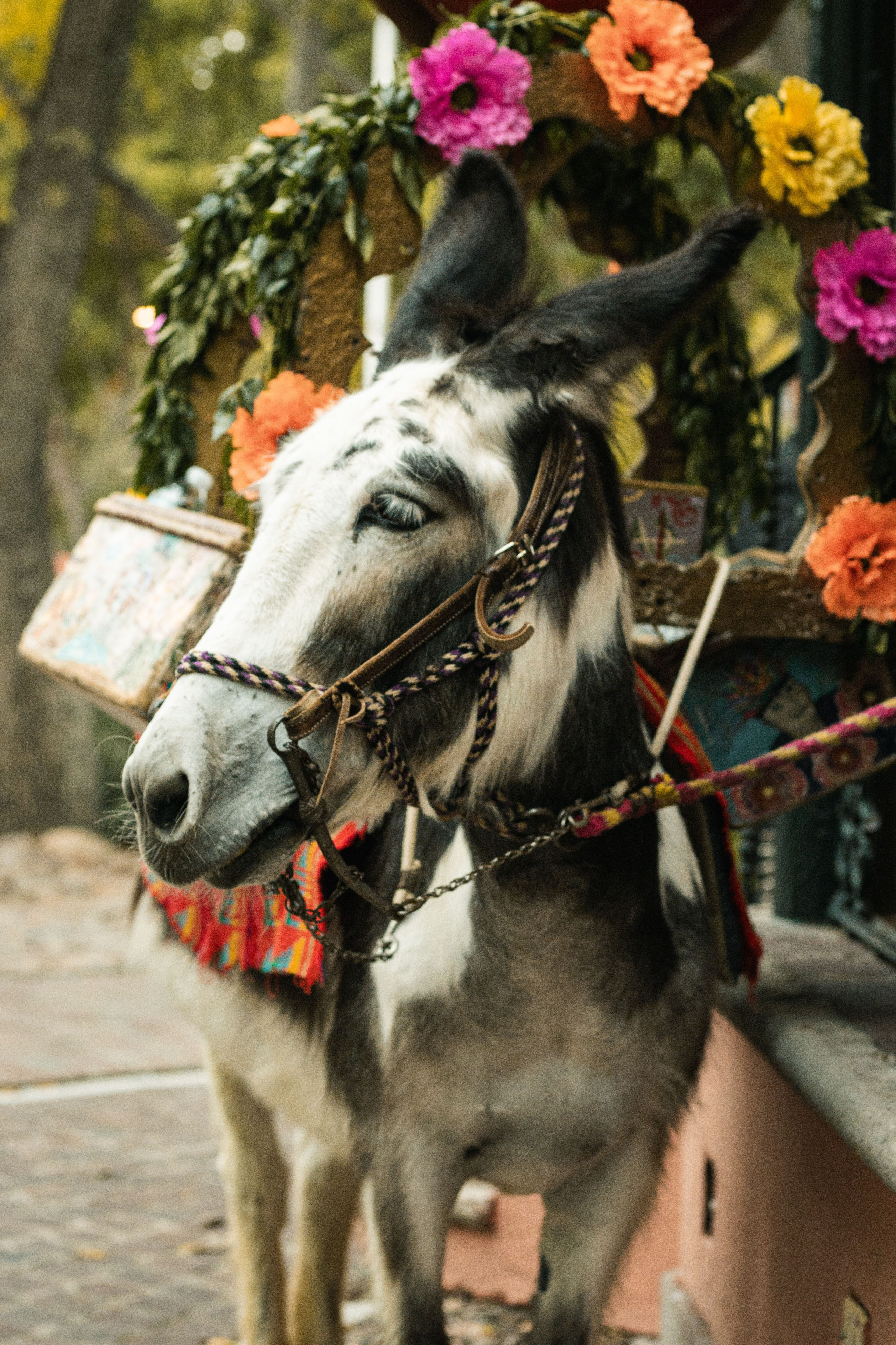 Stacie & Trae Wedding in San Miguel de Allende | Wedding Photography. Saúl Vázquez | Destination Wedding Photographer