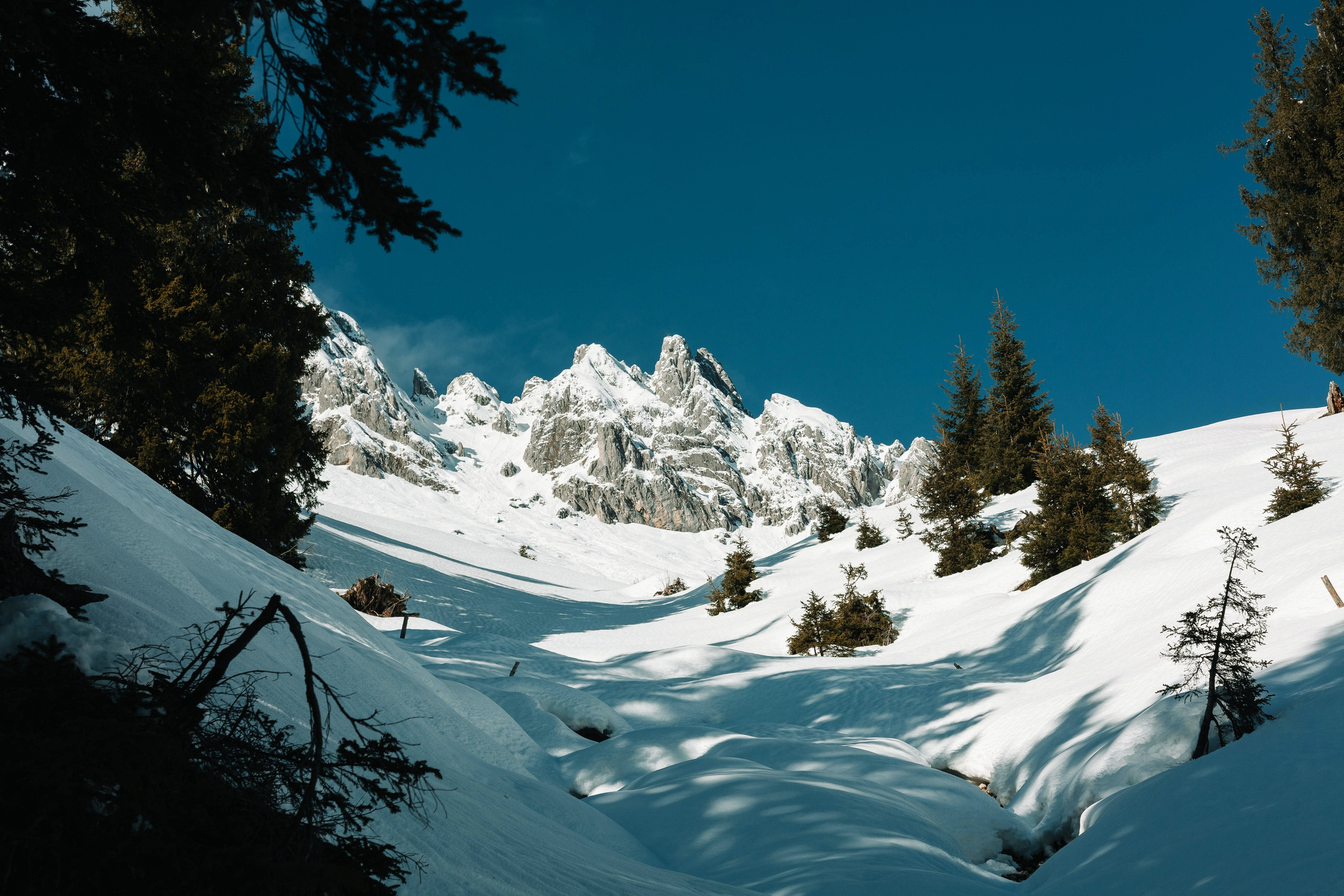 Landscapes. Wedding photographer Lyubov Sun Reutlingen