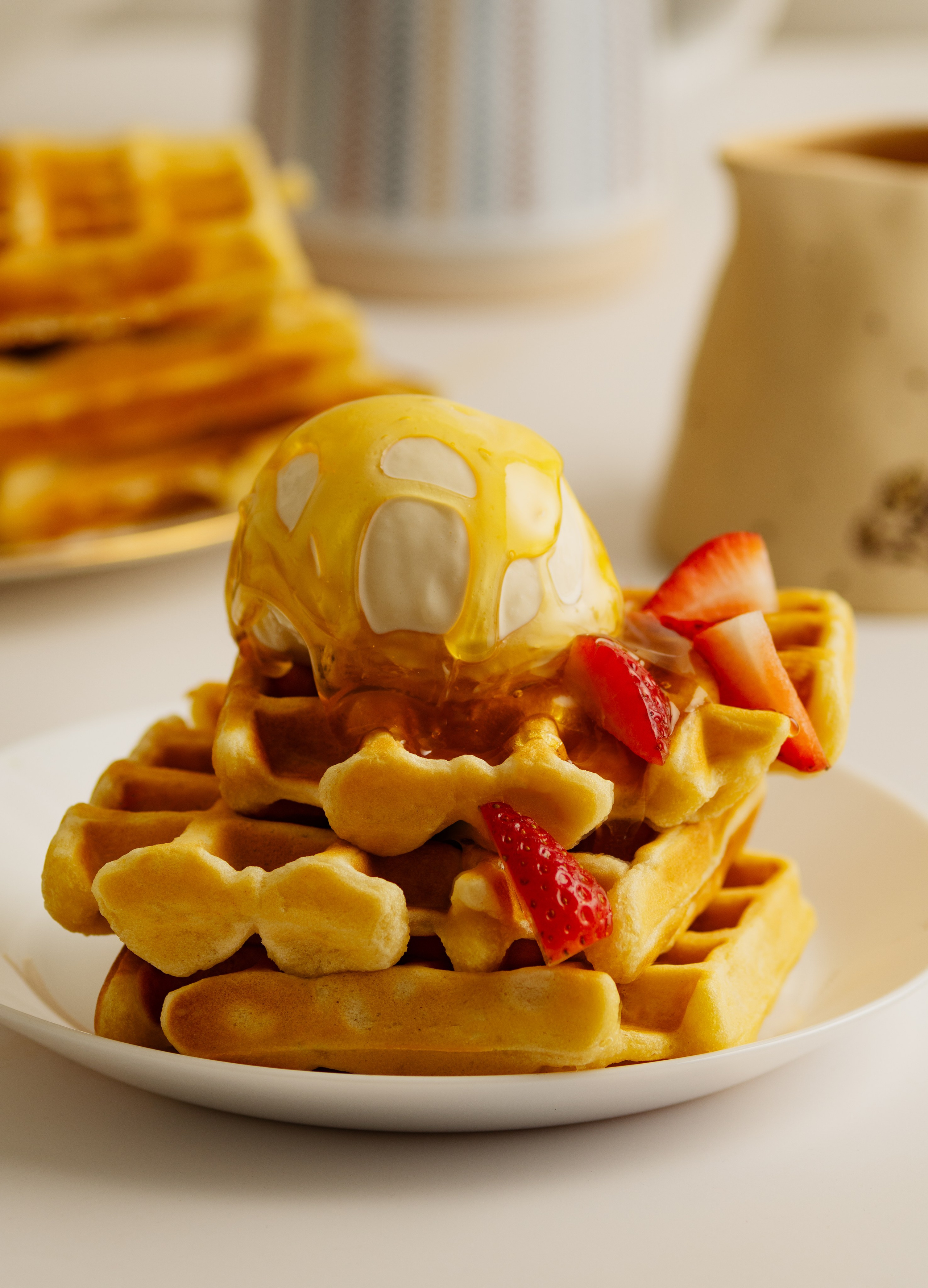 Commercial Food Photography – USA Menu & Advertising. LILIIA ZABOTKINA food photographer California