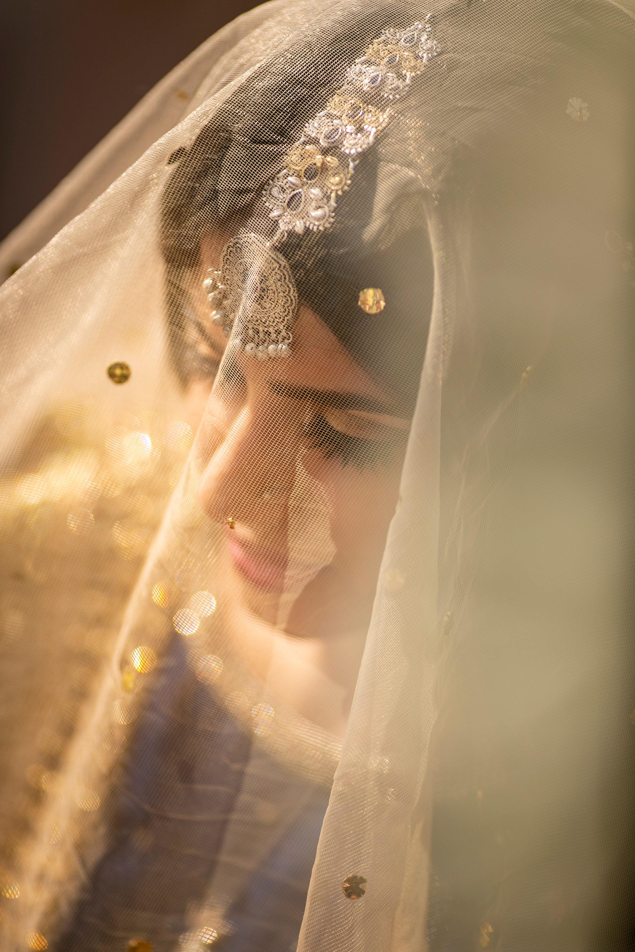 Portfolio. Chaar Bhai — Your Personal Family Historians