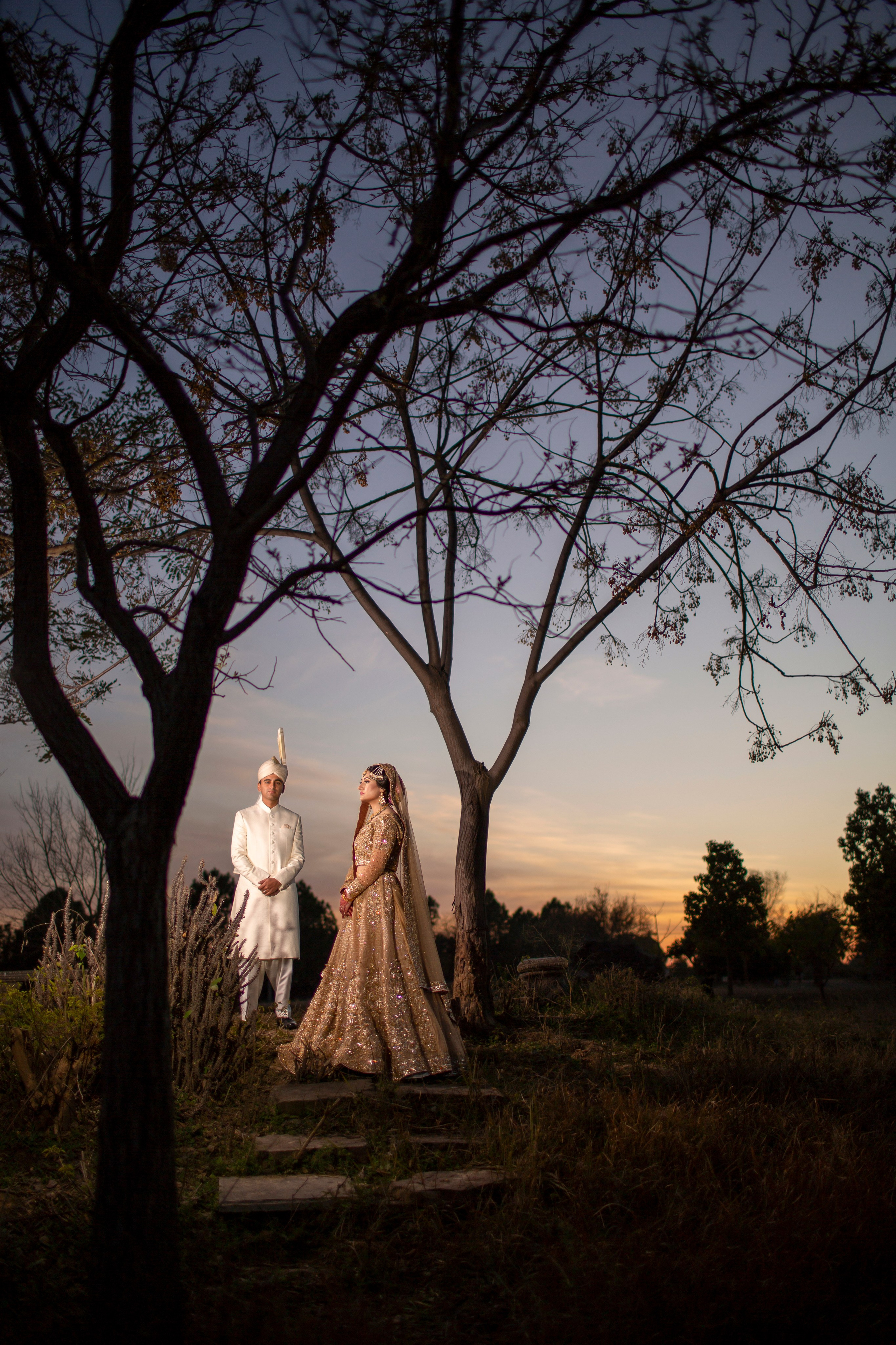 Portfolio. Chaar Bhai — Your Personal Family Historians