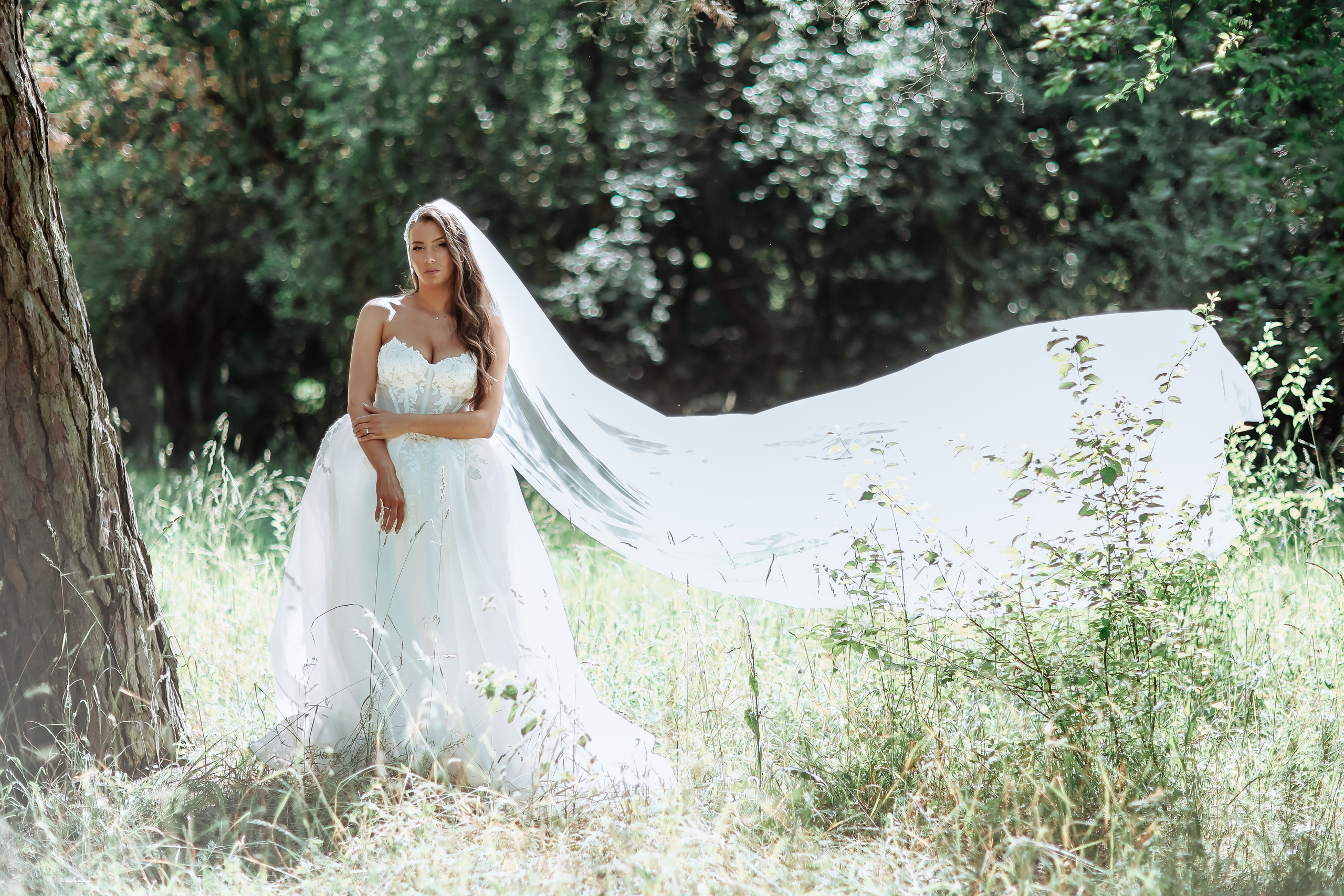 Kristina&Nenad Wedding. HOME