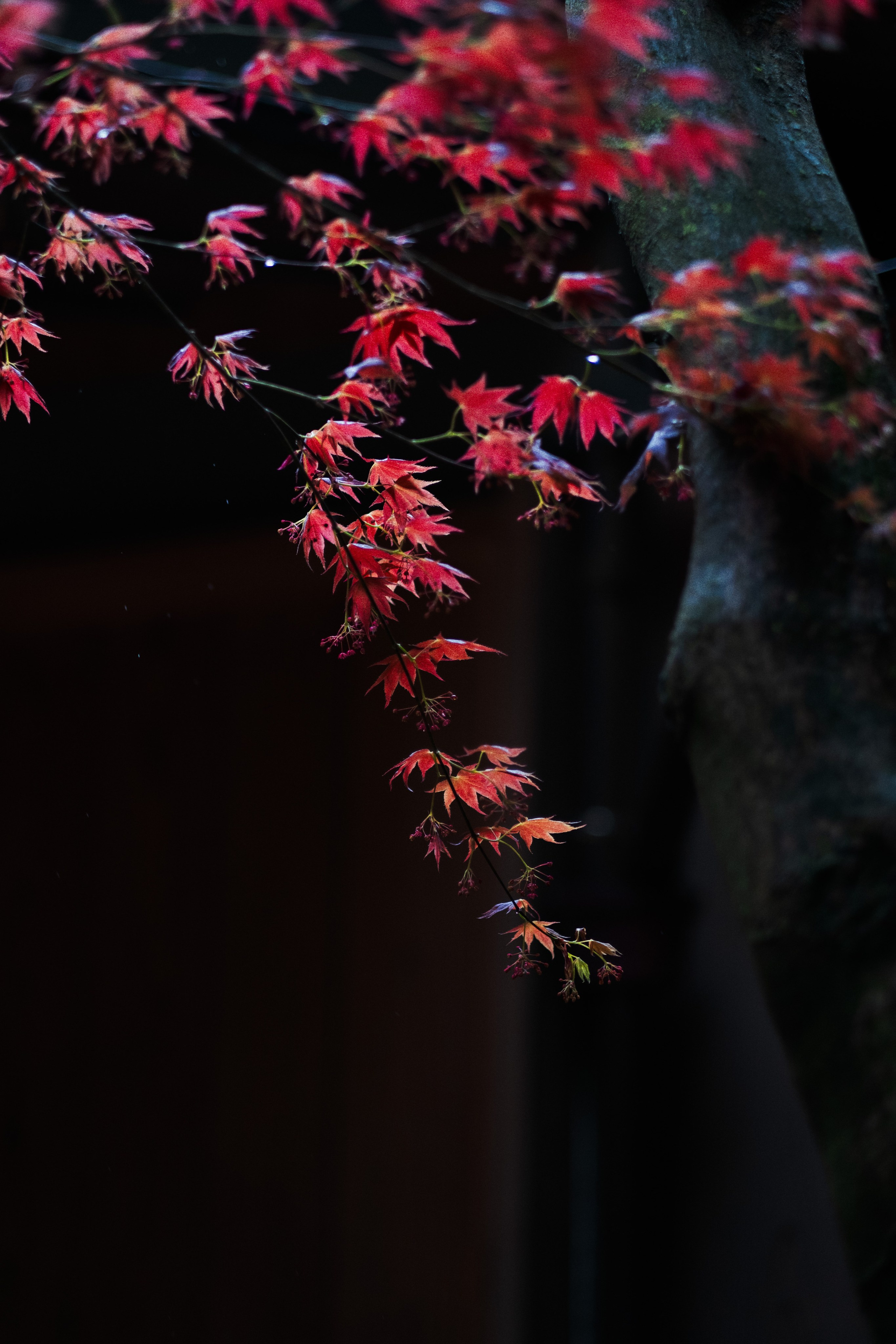 Japan. Artjom Kutuzov Photography