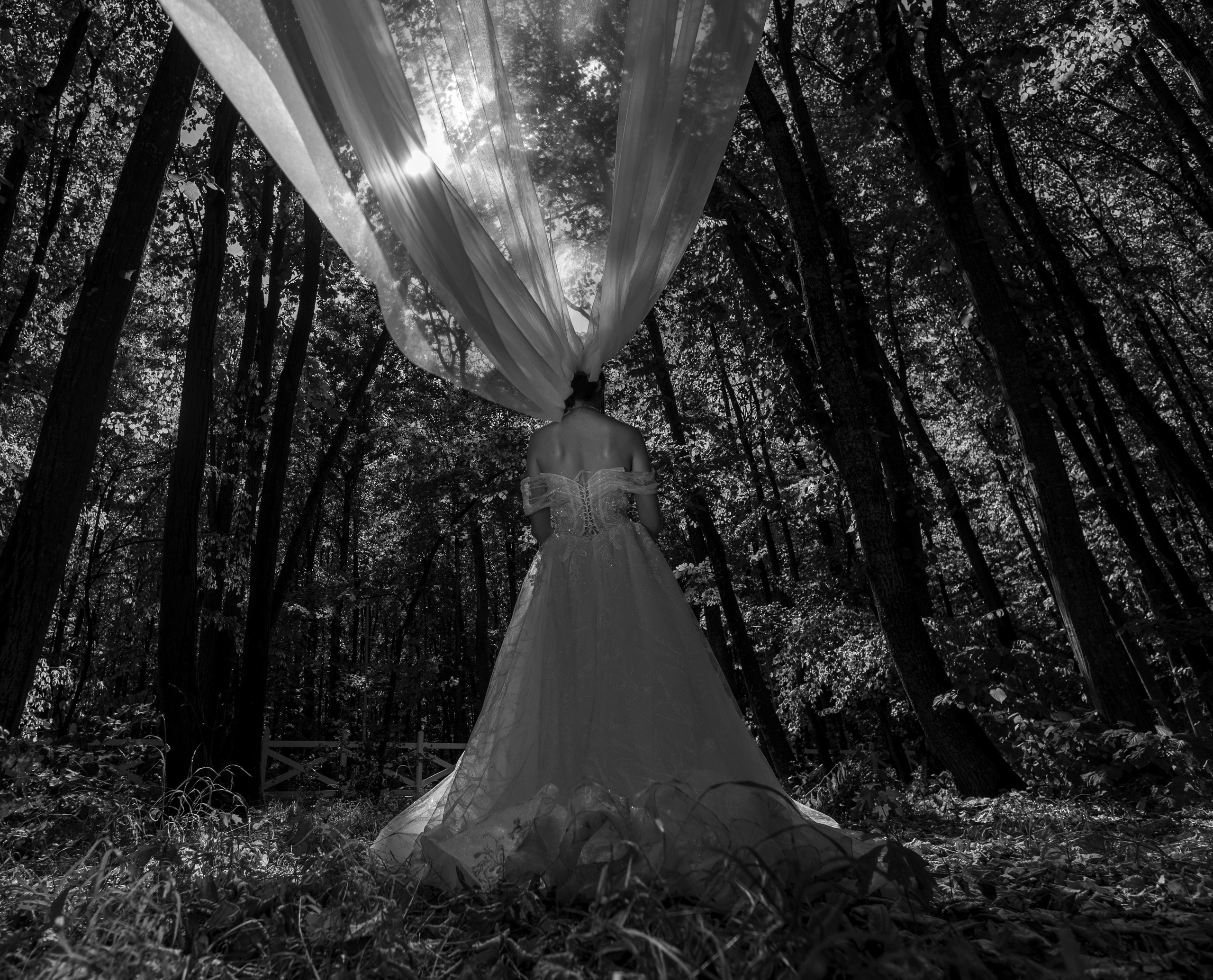 Nunta. Fotograf profesionist de eveniment ce captureaza povesti si emotii