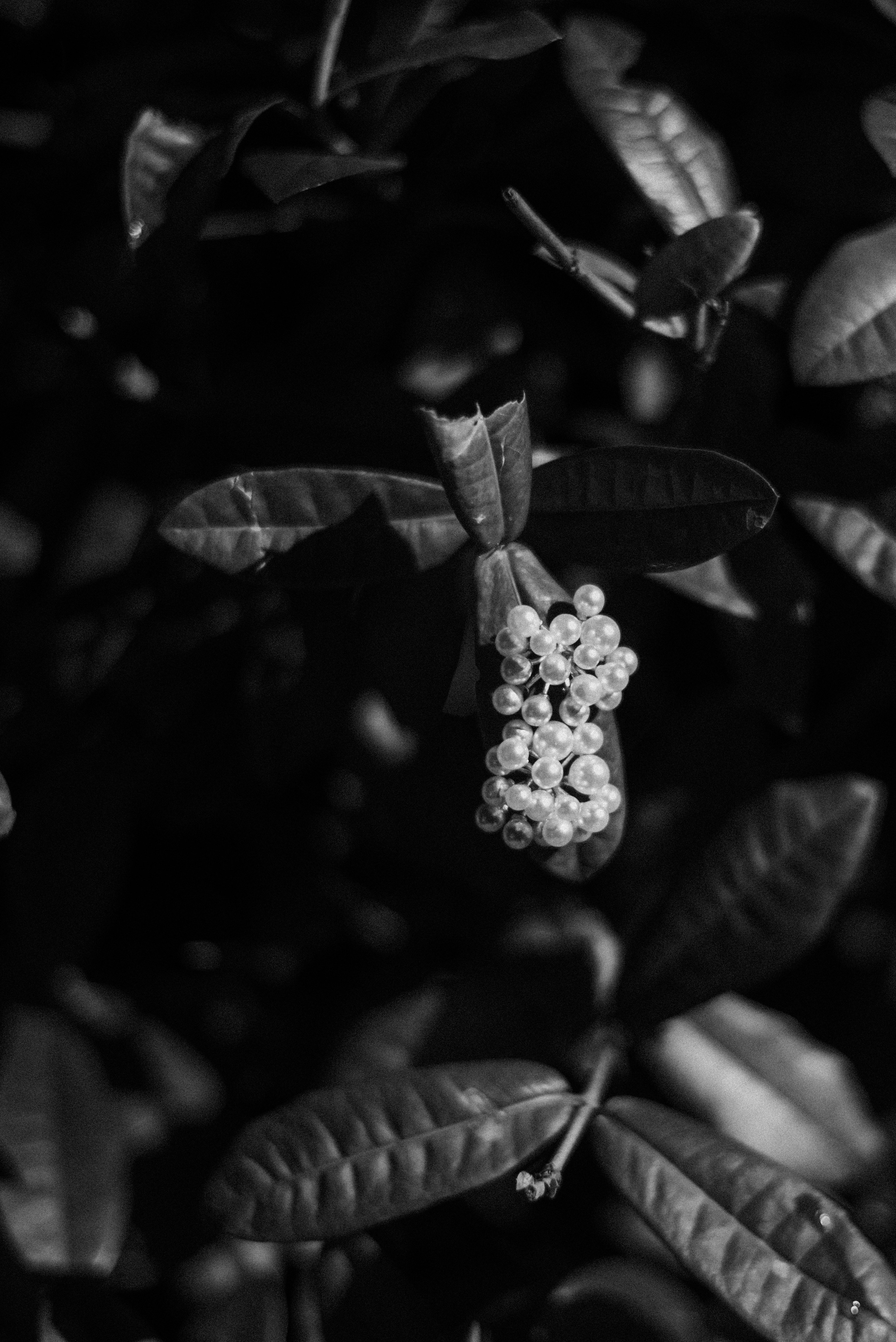 Leandro & Ketllin | Casamento. Junior Ribeiro Fotografia