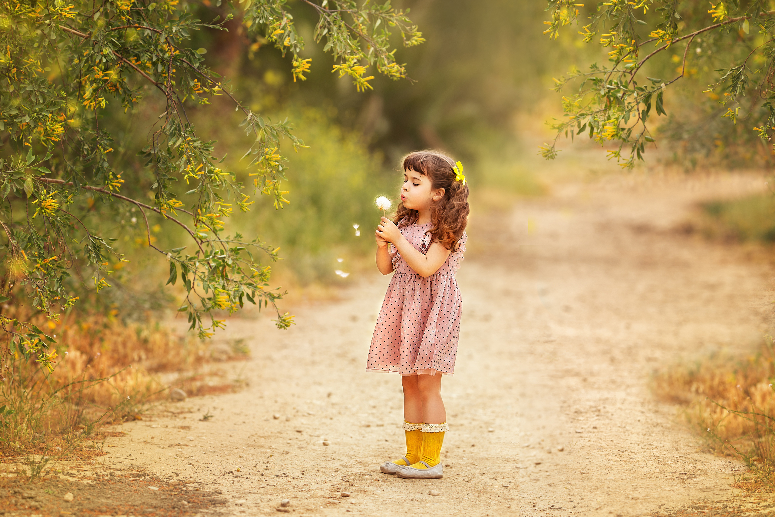 צילומי ילדים. צלמת ילדים, הריון ומשפחה בישראל