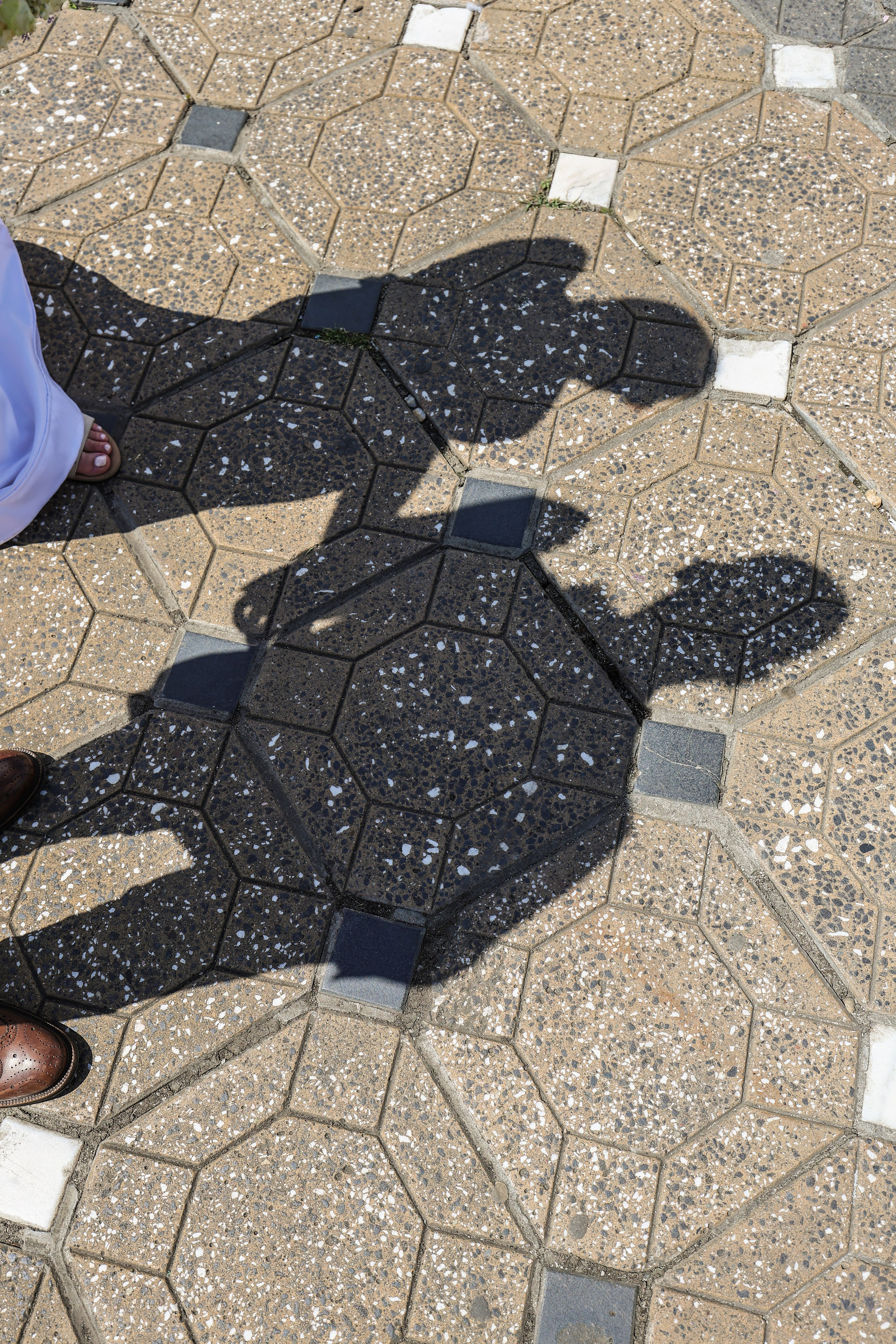 Simona & Titus-Temišvar. ZORAN TORĐAN — FOTOGRAF I VIDEO PRODUCENT Zrenjanin