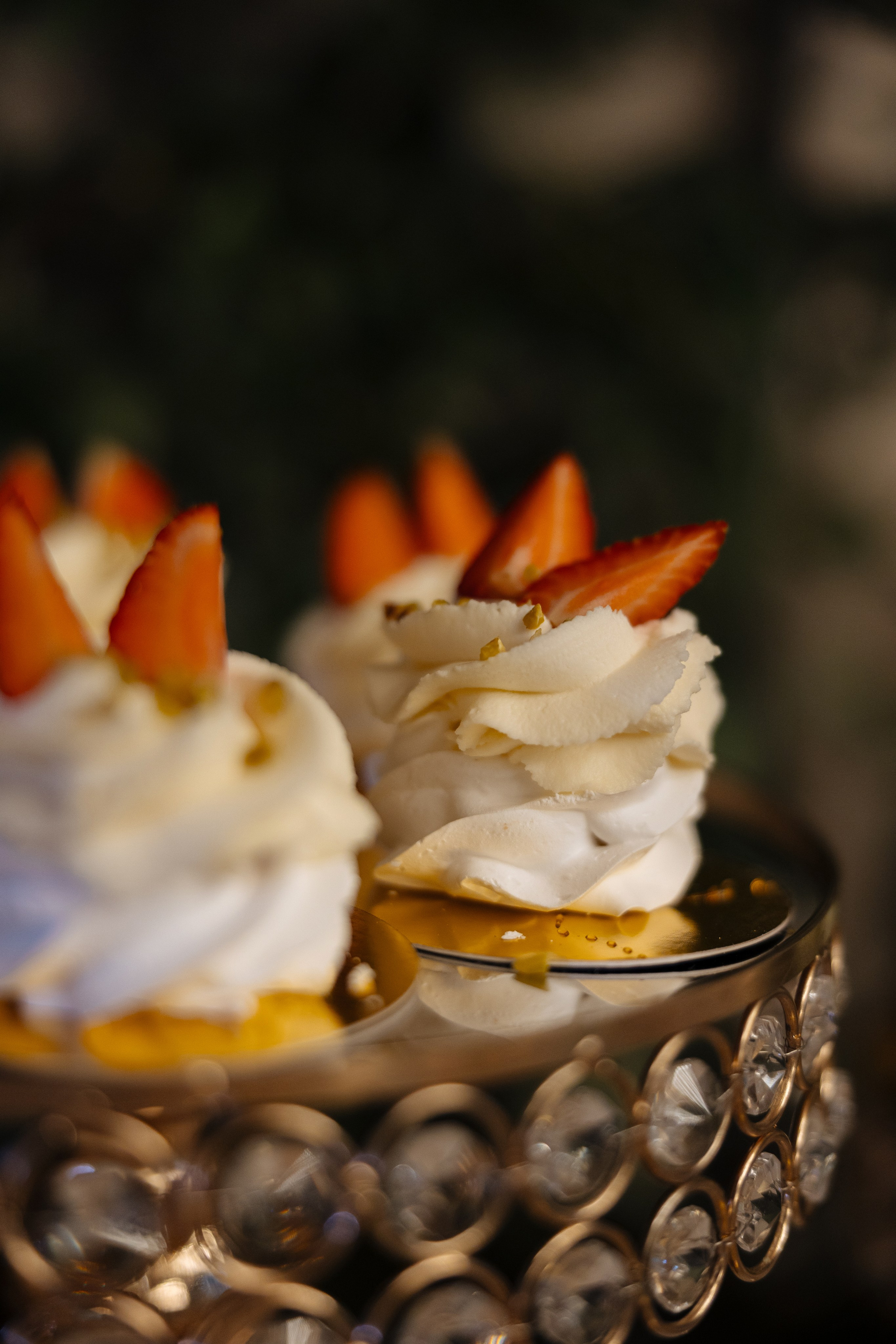 Diana Vlad. Ірина Терещук