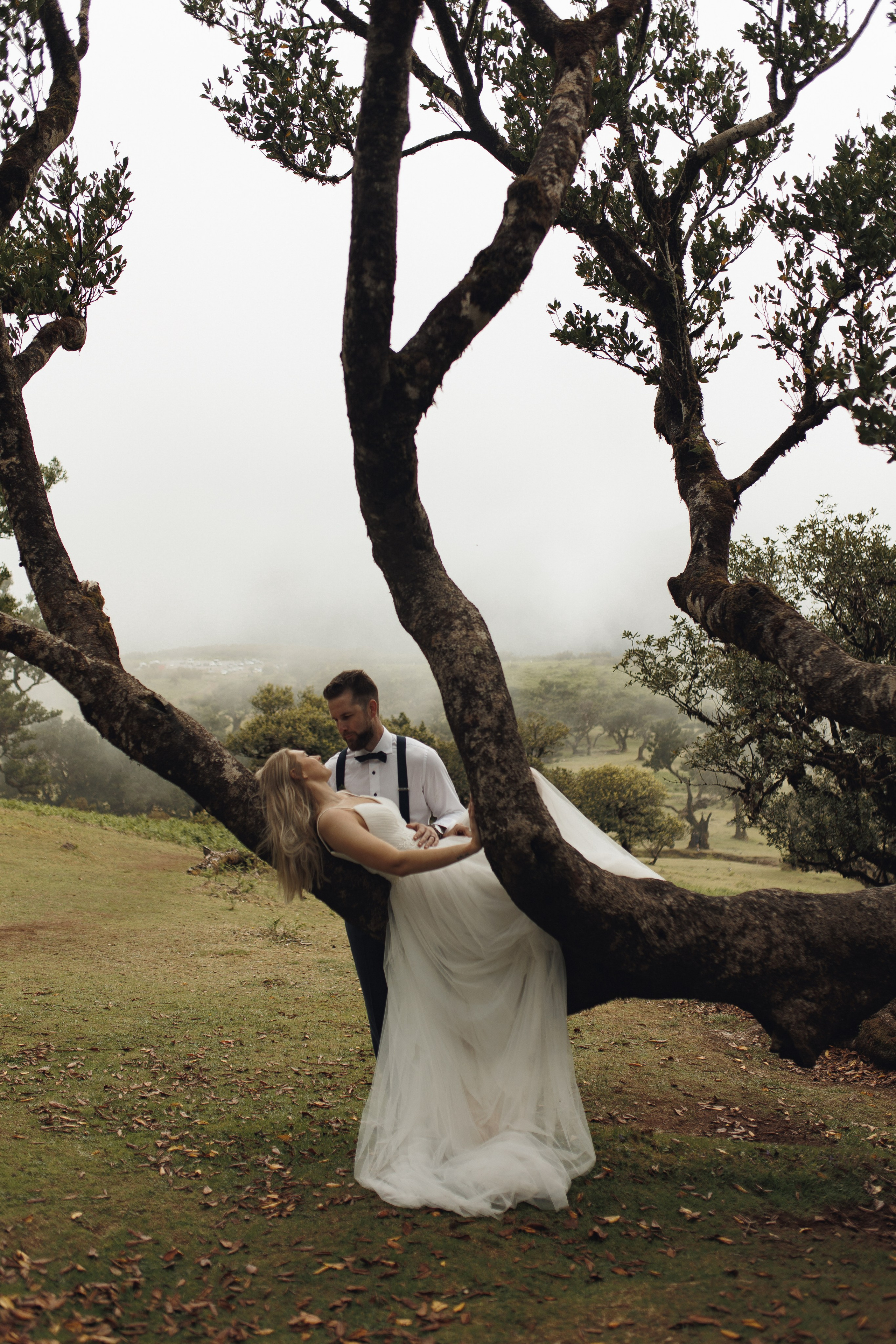 Elopement in Madeira | Mystical Forest of Fanal. Wedding photographer and videographer based in Timisoara, Romania
