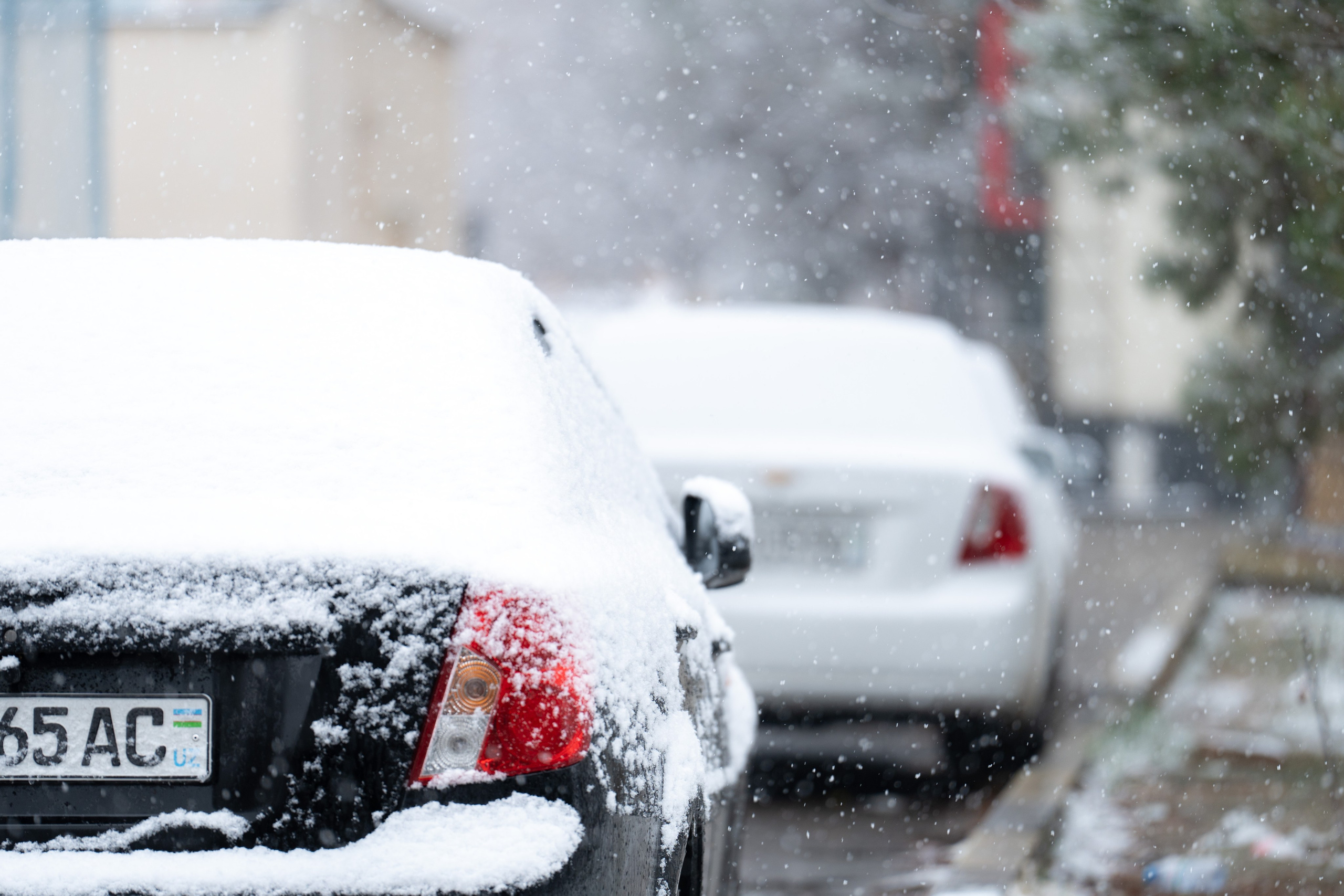 Первый снег в 2024 году. Георгий Намазов | Фотограф в Ташкенте