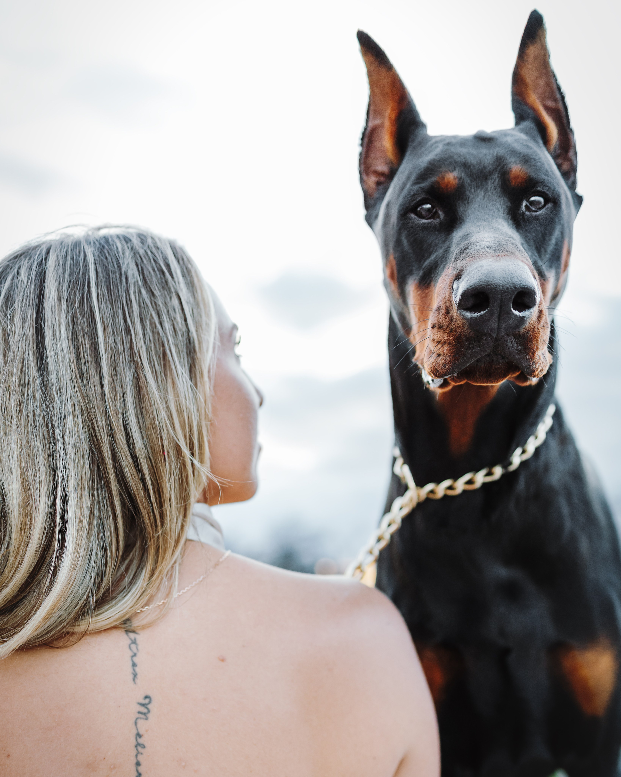 Enzo & Victoriya. Pet Photographer Viktoriya Aleshenko