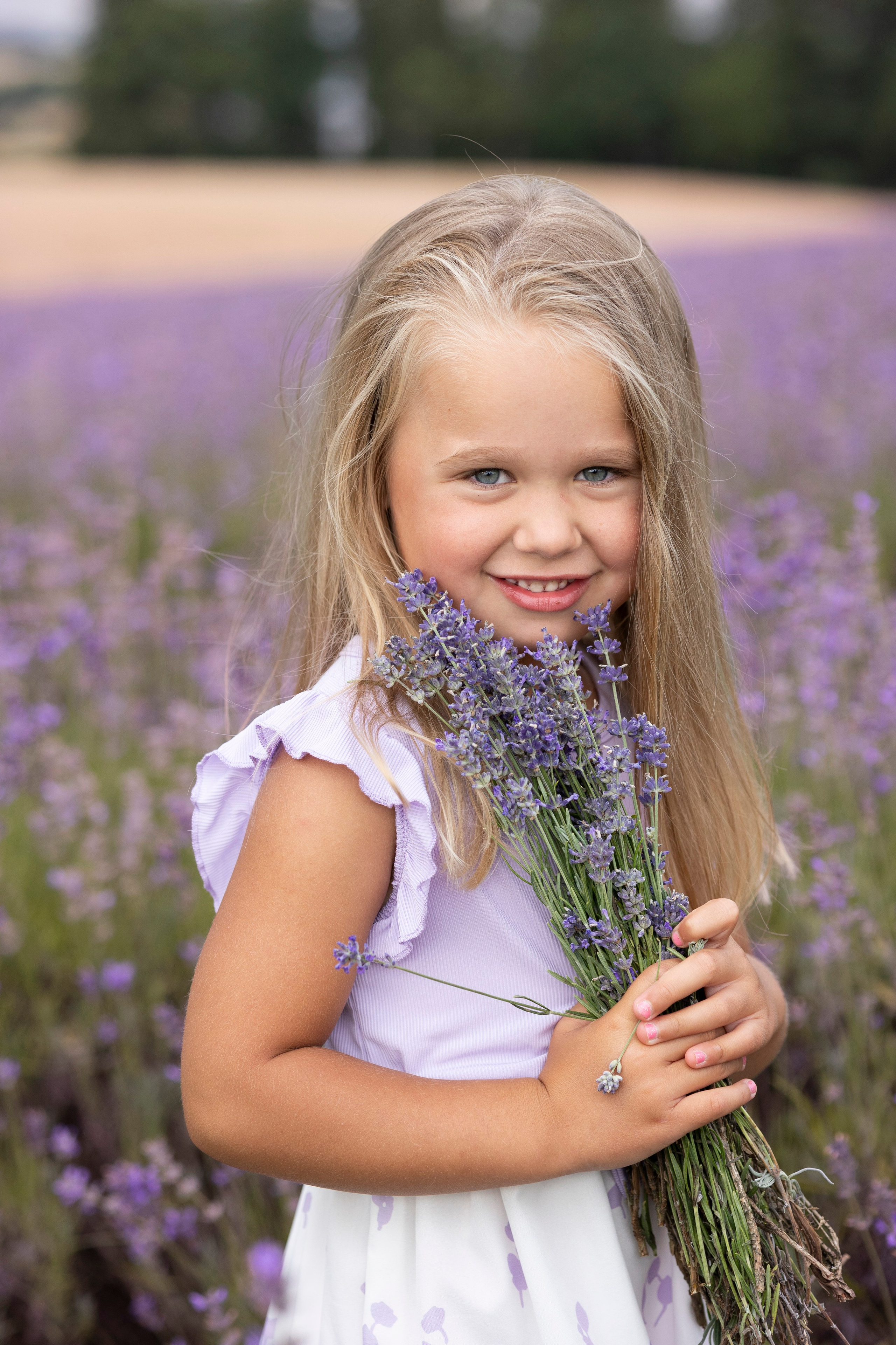 Lavendel. Photographer in Munich