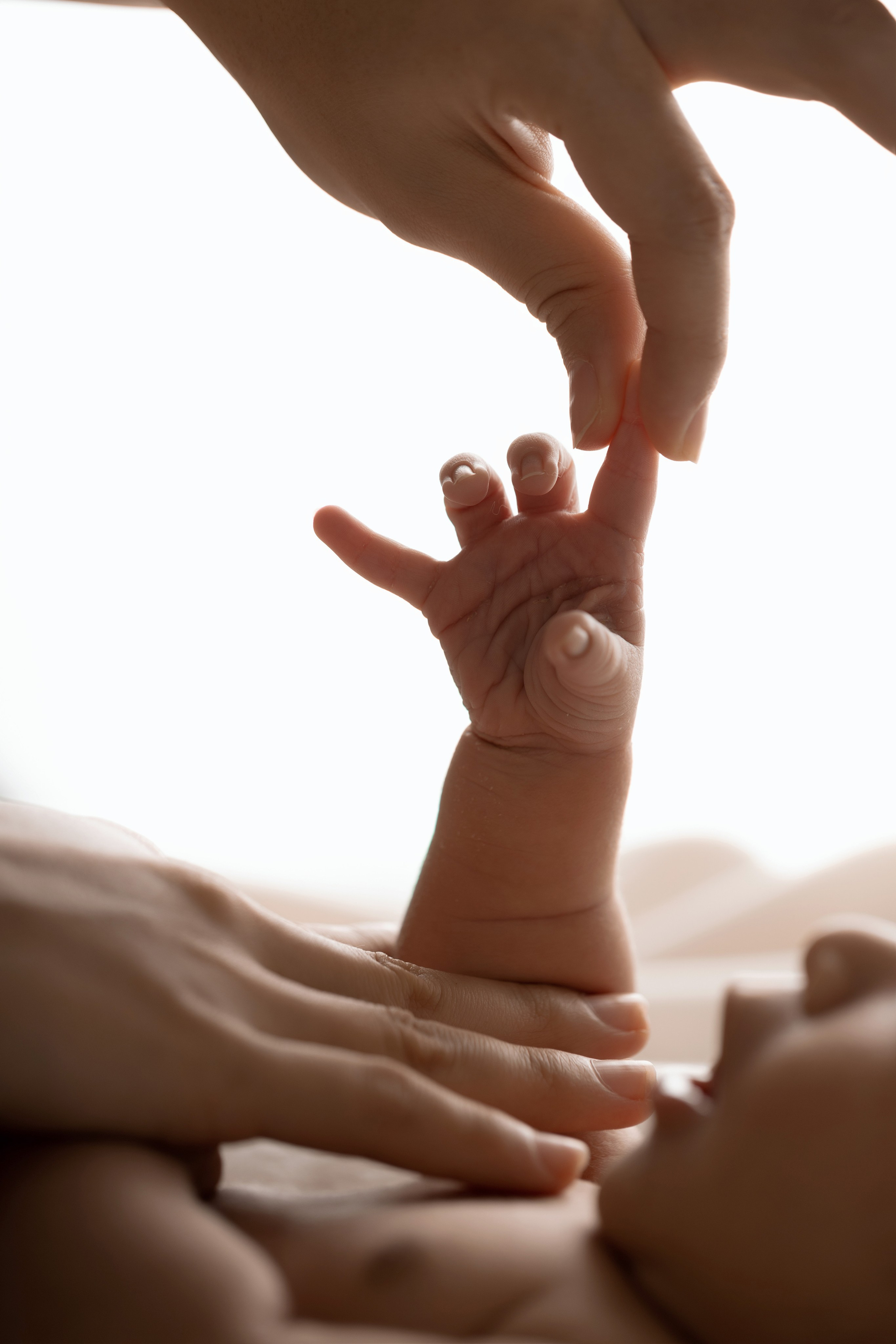 Newborn Classic. Family photographer in Bay Area, California