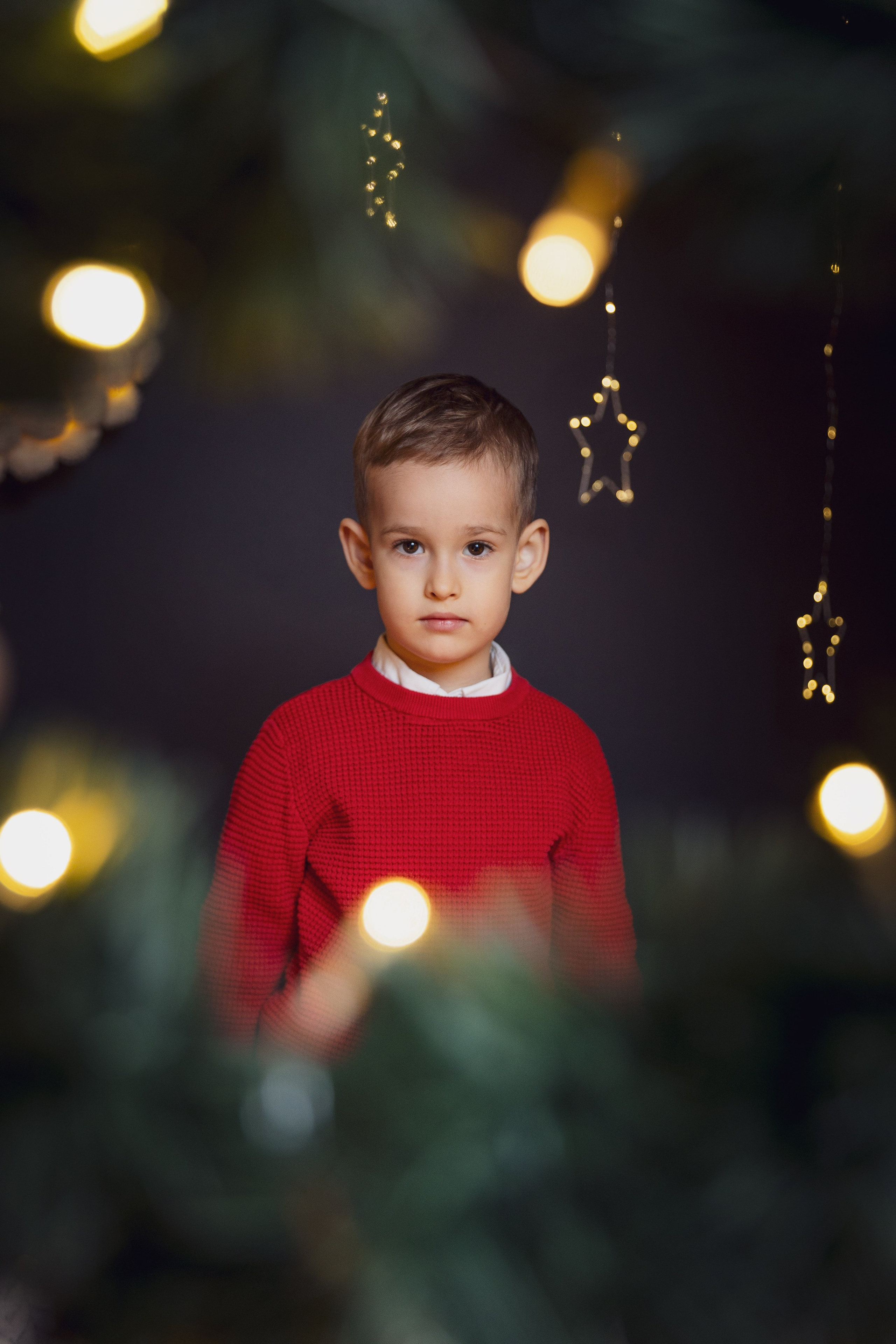 Crăciun 2024. Acasă