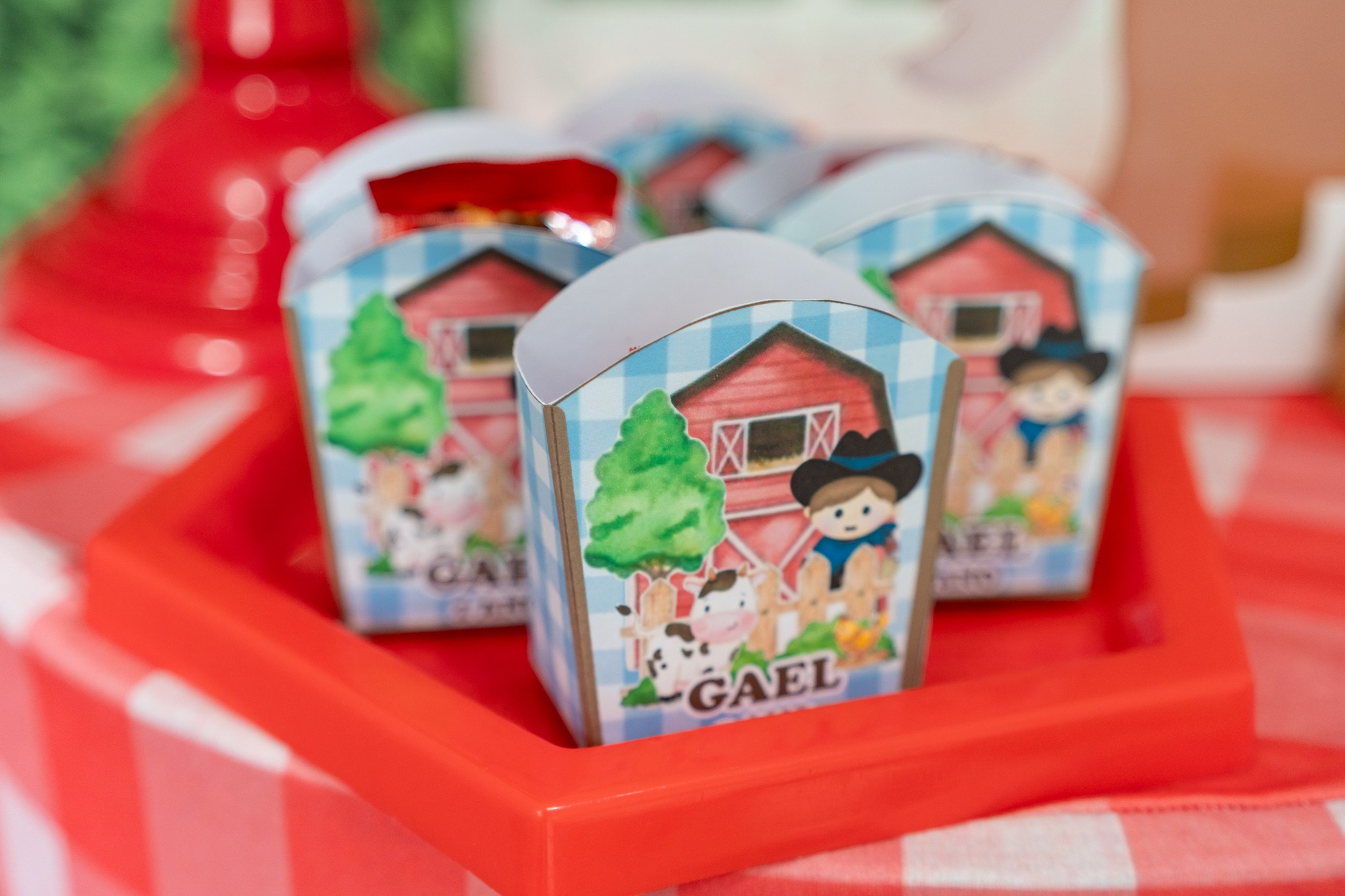 Gael 1 ano — 21/12/2024. Luiz Medeiros Produções