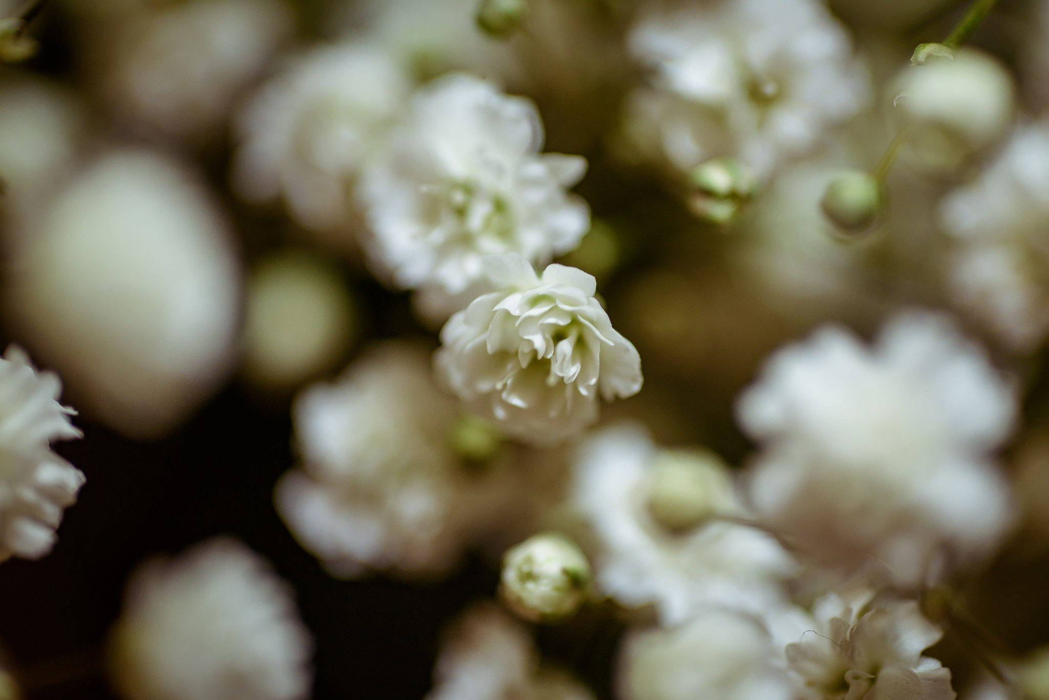 Malu e Felipe. Fotografia de casamentos e ensaios em avaré Jônata Oliveira
