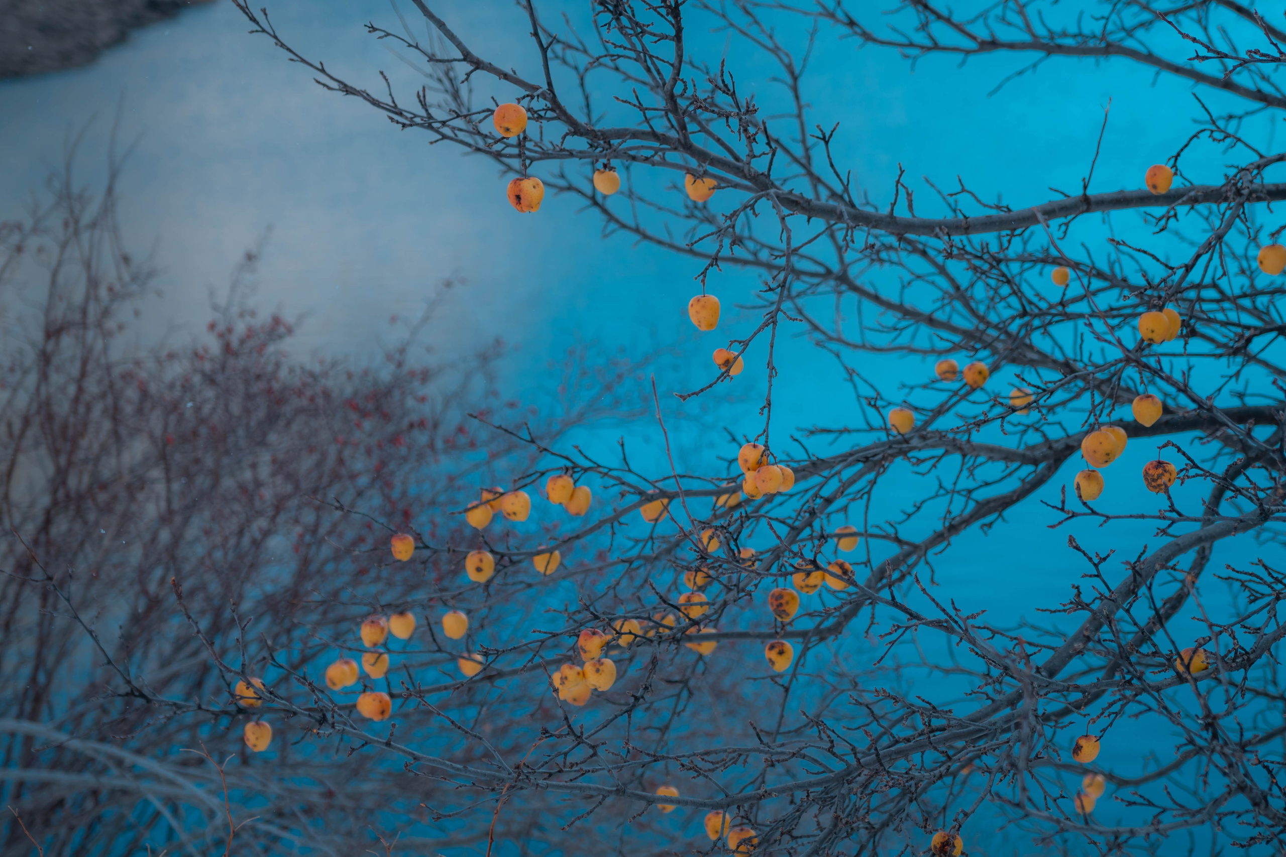 Vall Fosca, Invierno 2023. Alba del Norte Studio