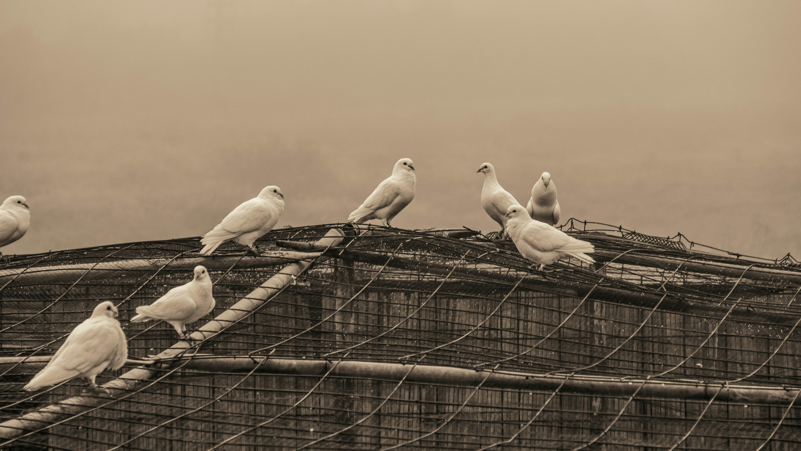 Rojales. Alba del Norte Studio