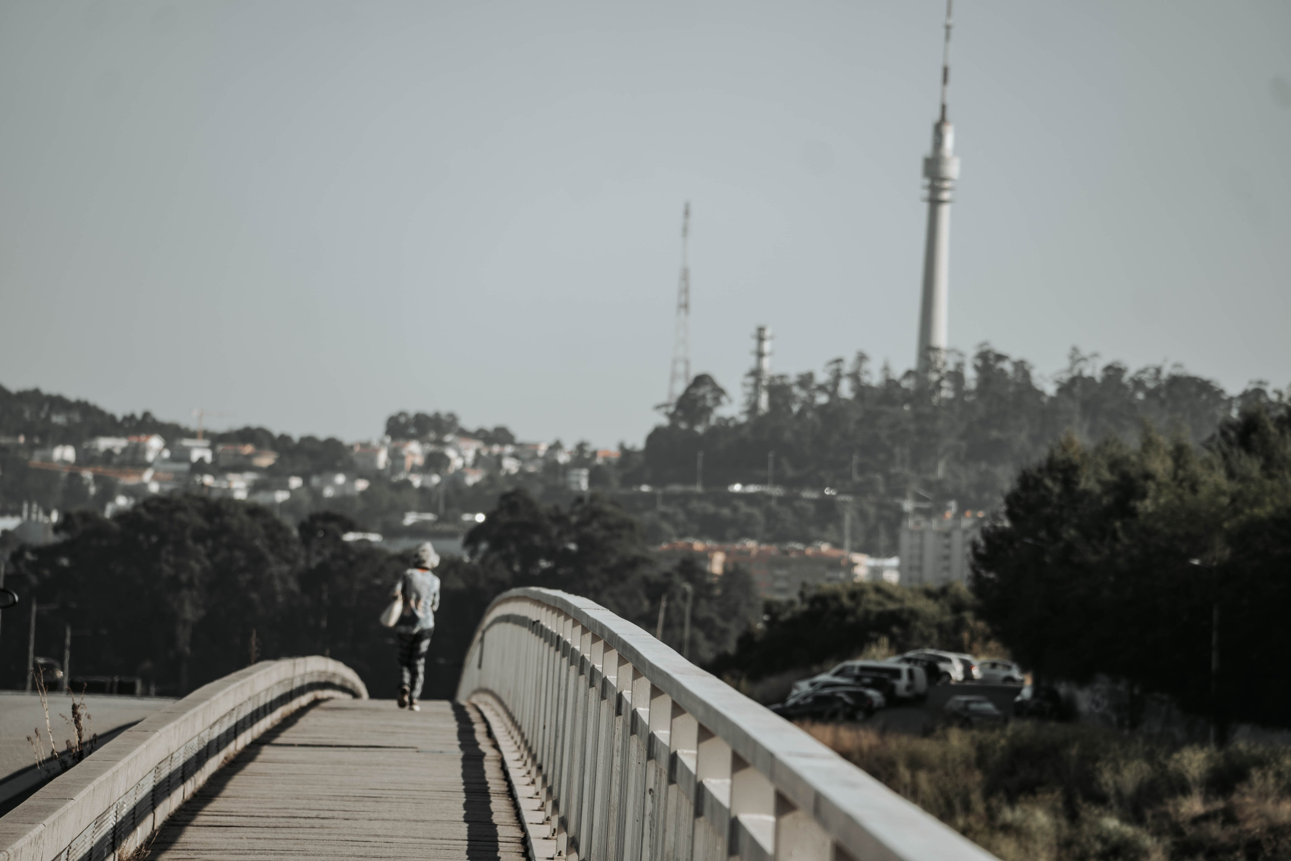 Porto, Agosto 2024. Alba del Norte Studio