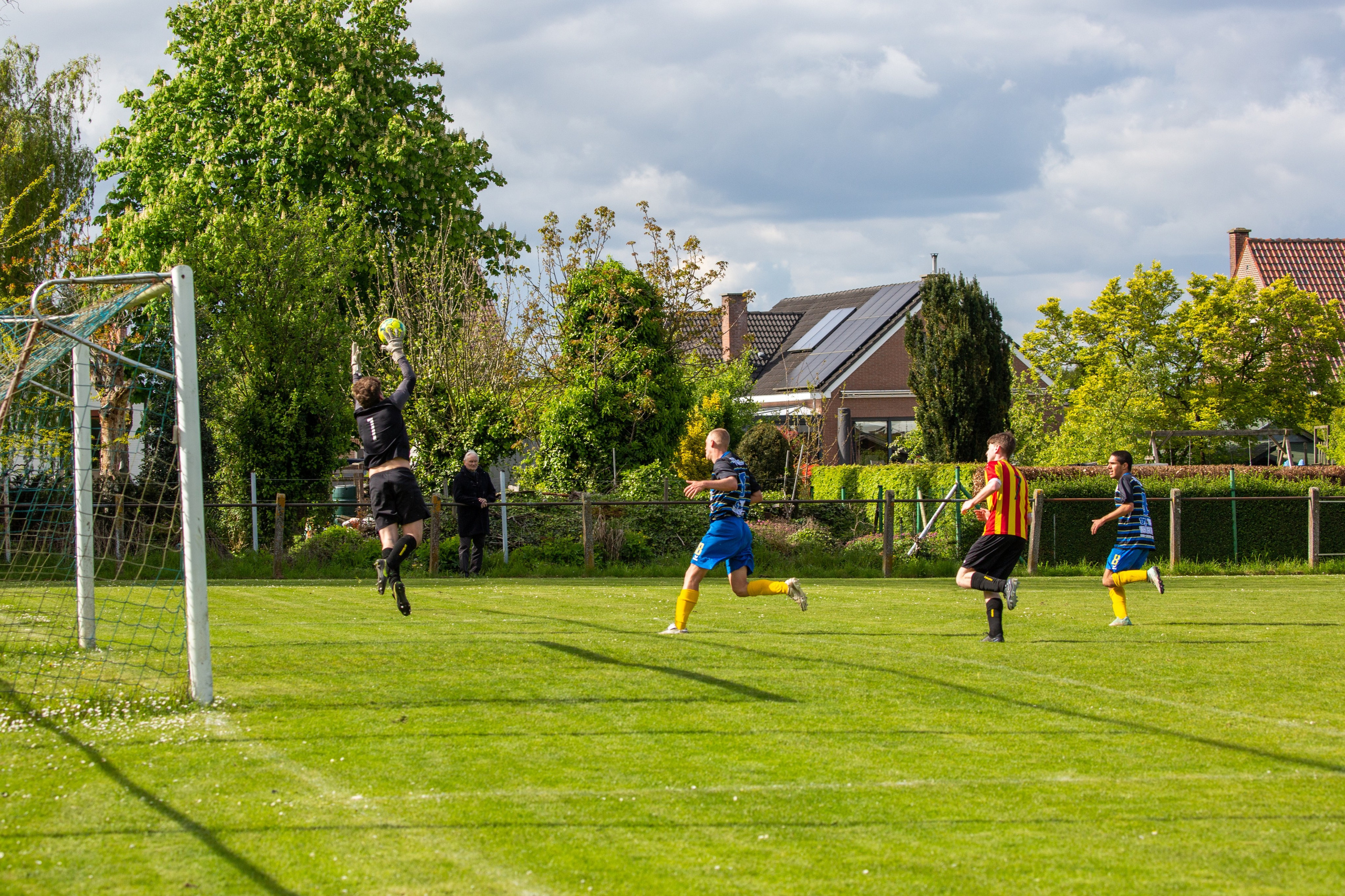 Sports. Family, portrait, and lifestyle photoshoots in Belgium