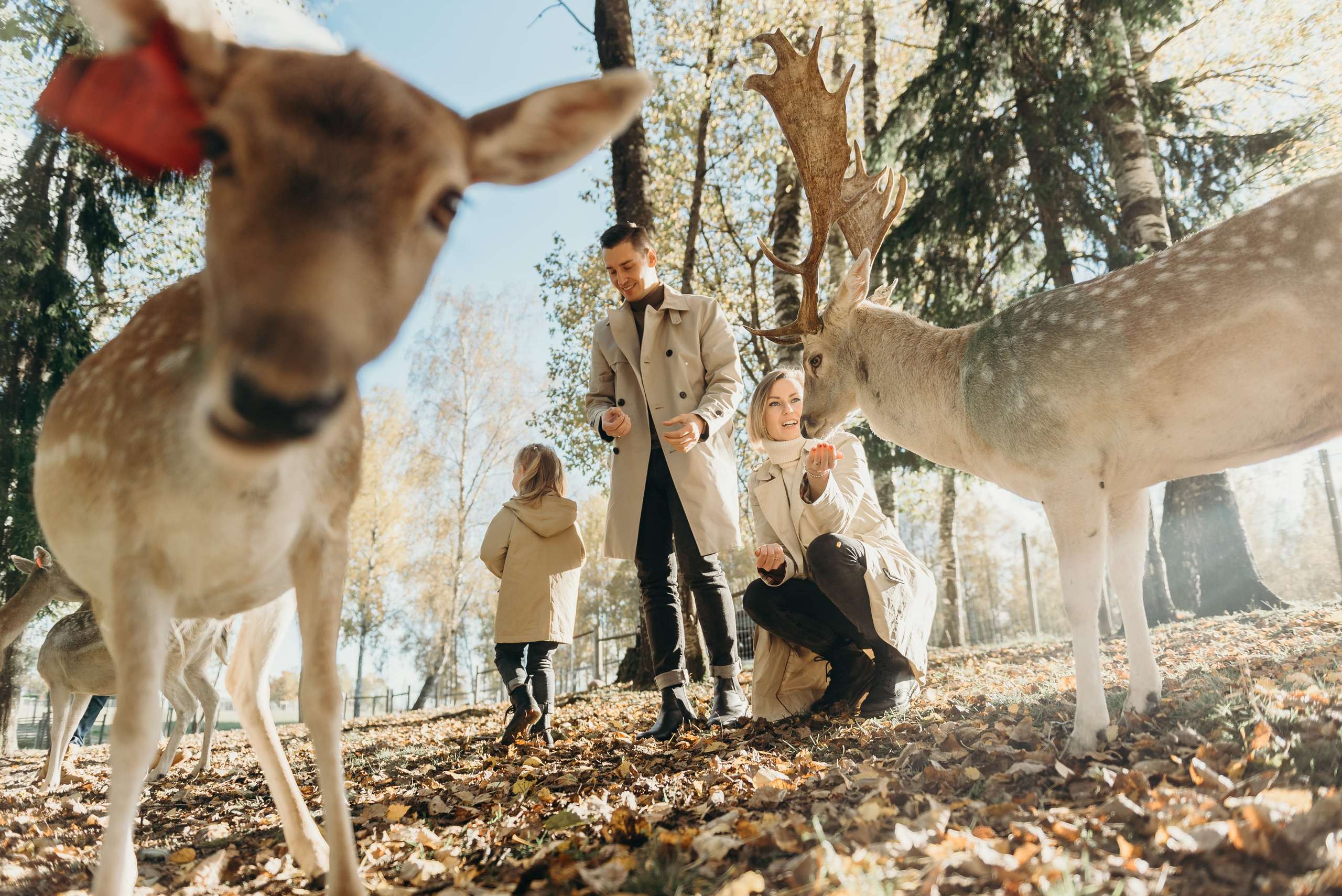 Briežu parks. Свадебный фотограф в Риге — Вячеслав Лучненков