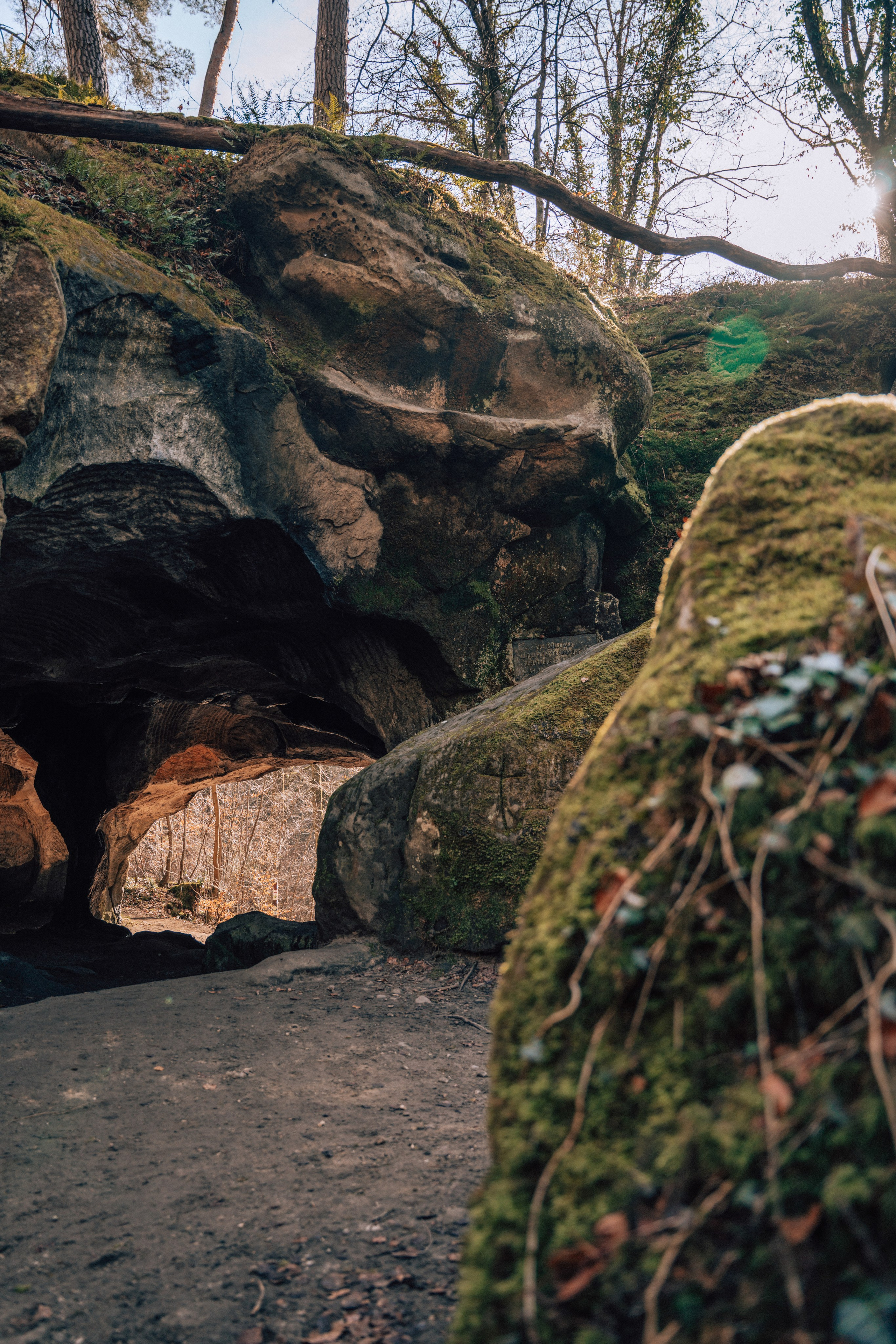 Müllerthal. Elena Seewald