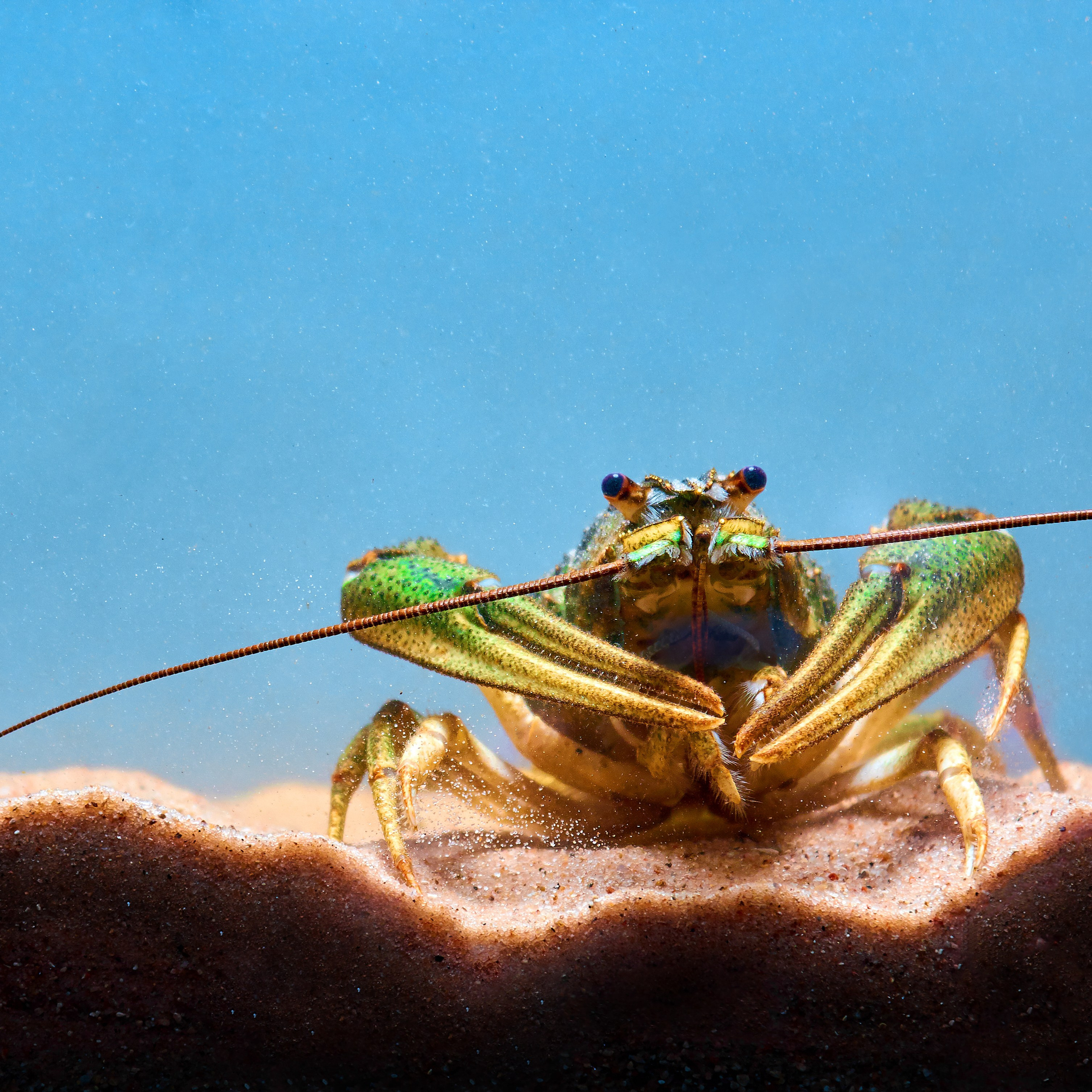 Предметная фотография. Фотограф Илона Иванова, Кондрашин студия, Рига